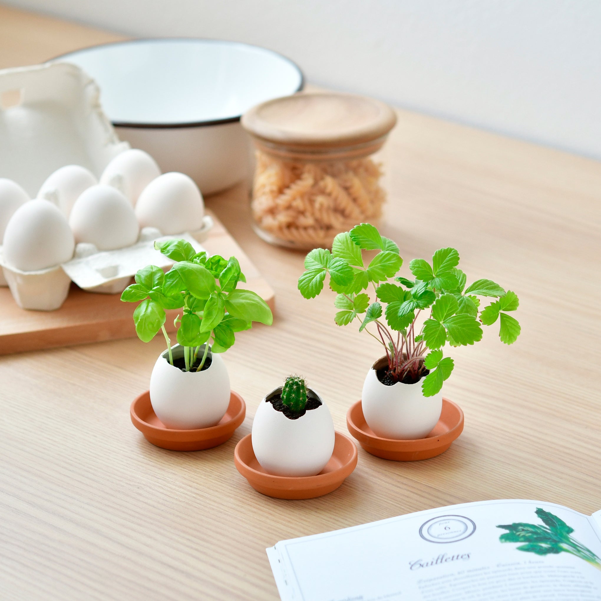 Eggling Crack & Grow Planter Kit - Strawberry - Image 2
