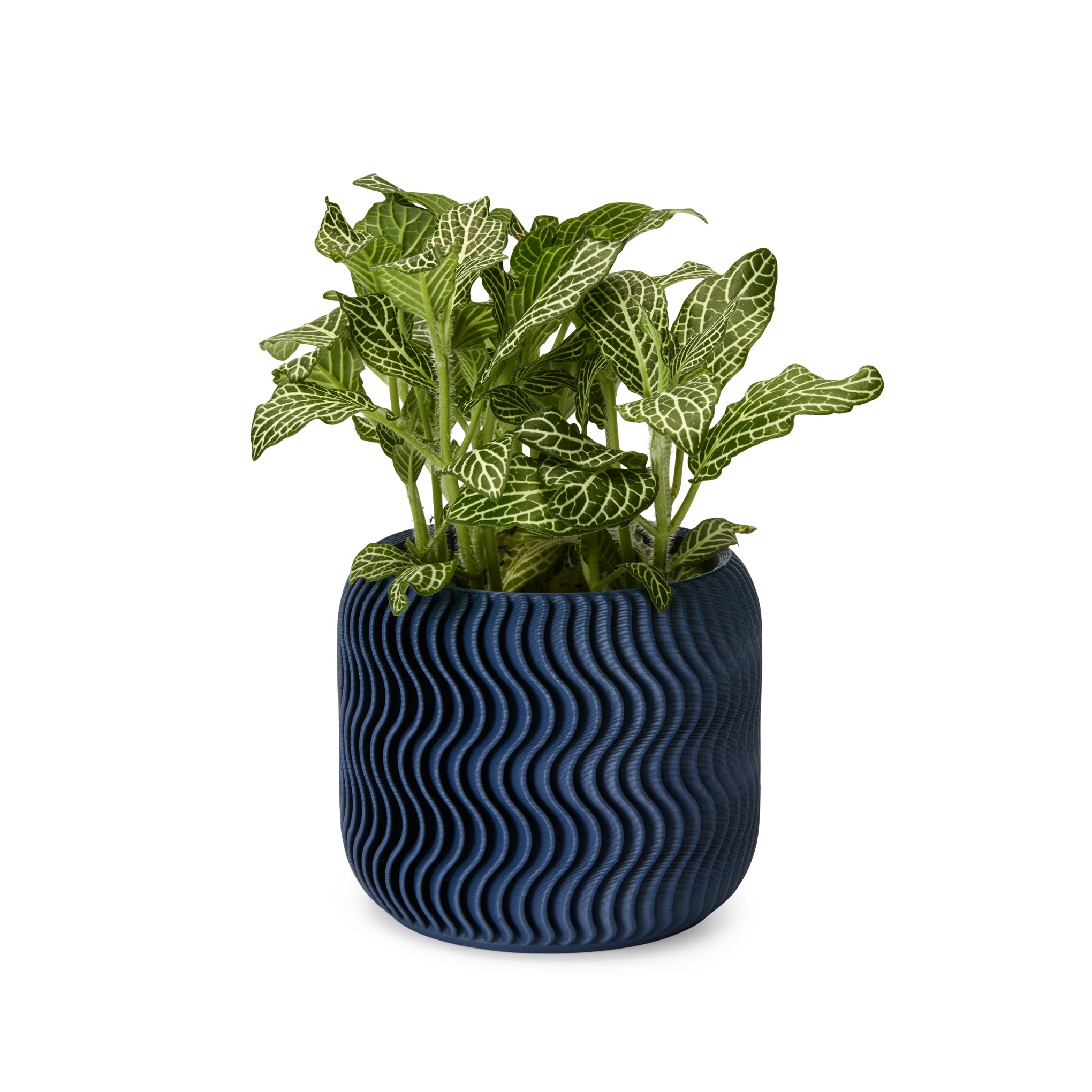 Wavy Pine 3D-Printed Planter - Midnight Blue