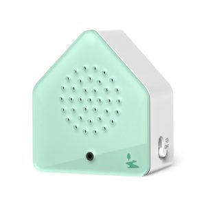 Satellitebox Sound Box - Forest Brook