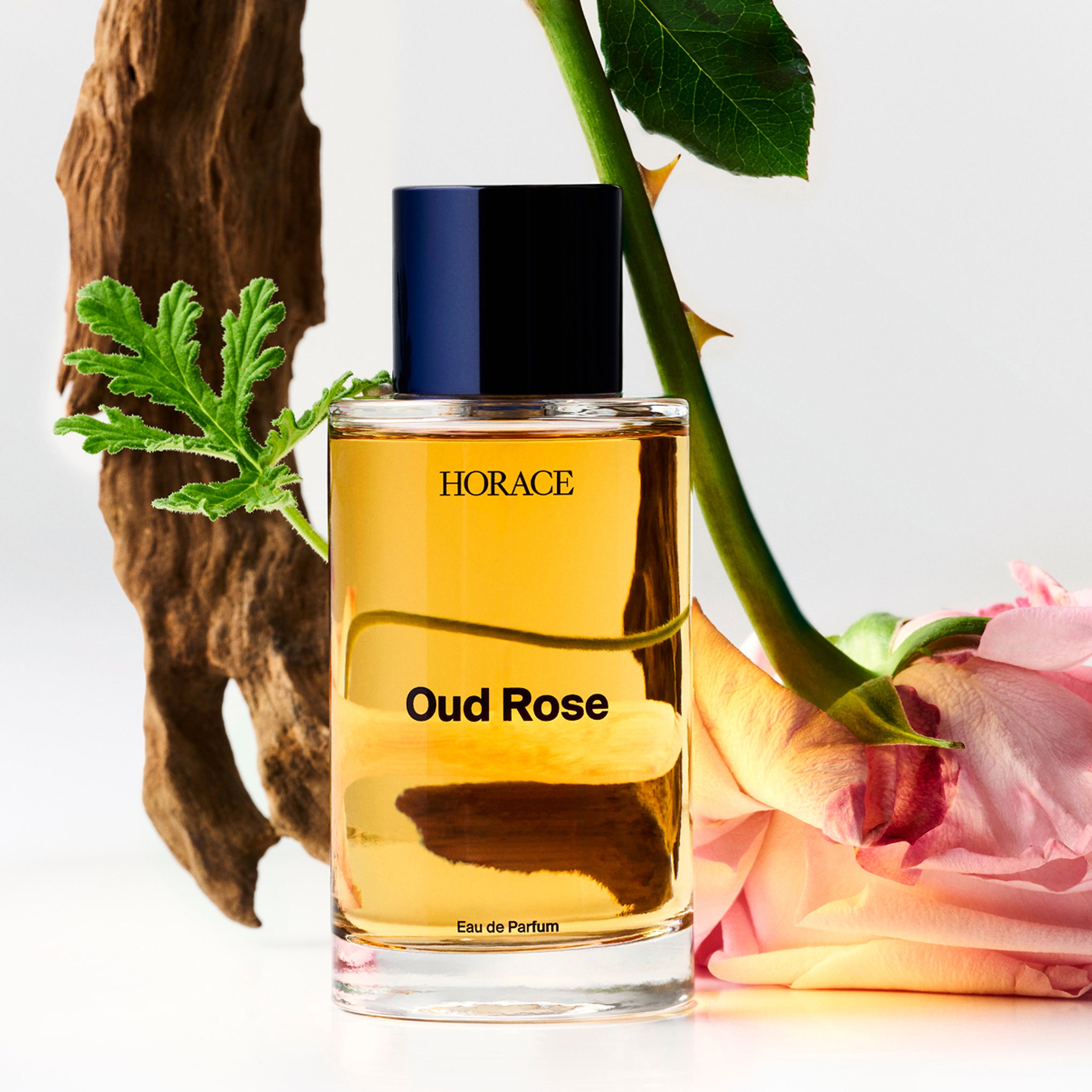 Horace Oud Rose Fragrance - 3.38fl oz - Image 5