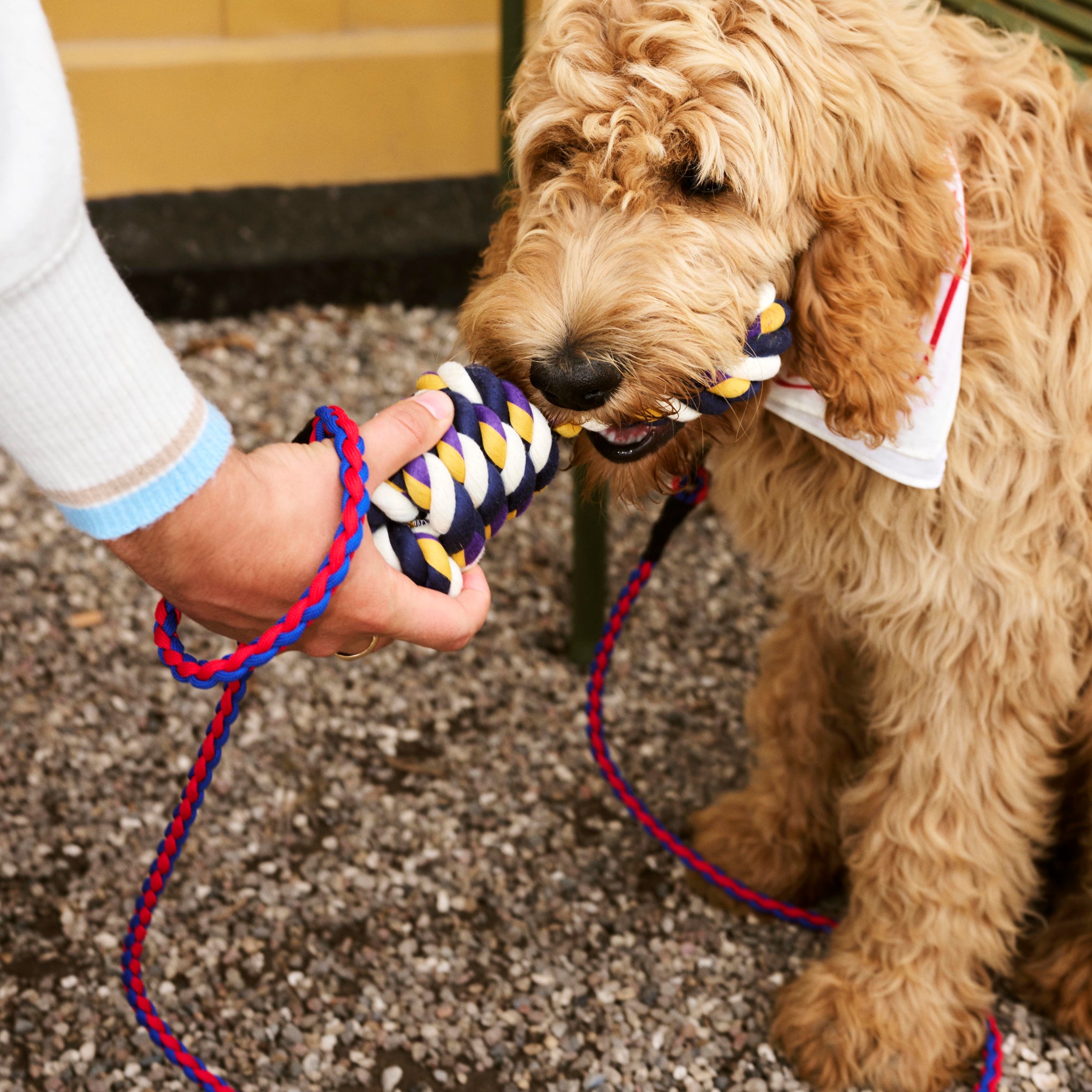 HAY Rope Toy for Dogs in Recycled Polyester - Blue/ Purple/ Ochre - Image 3