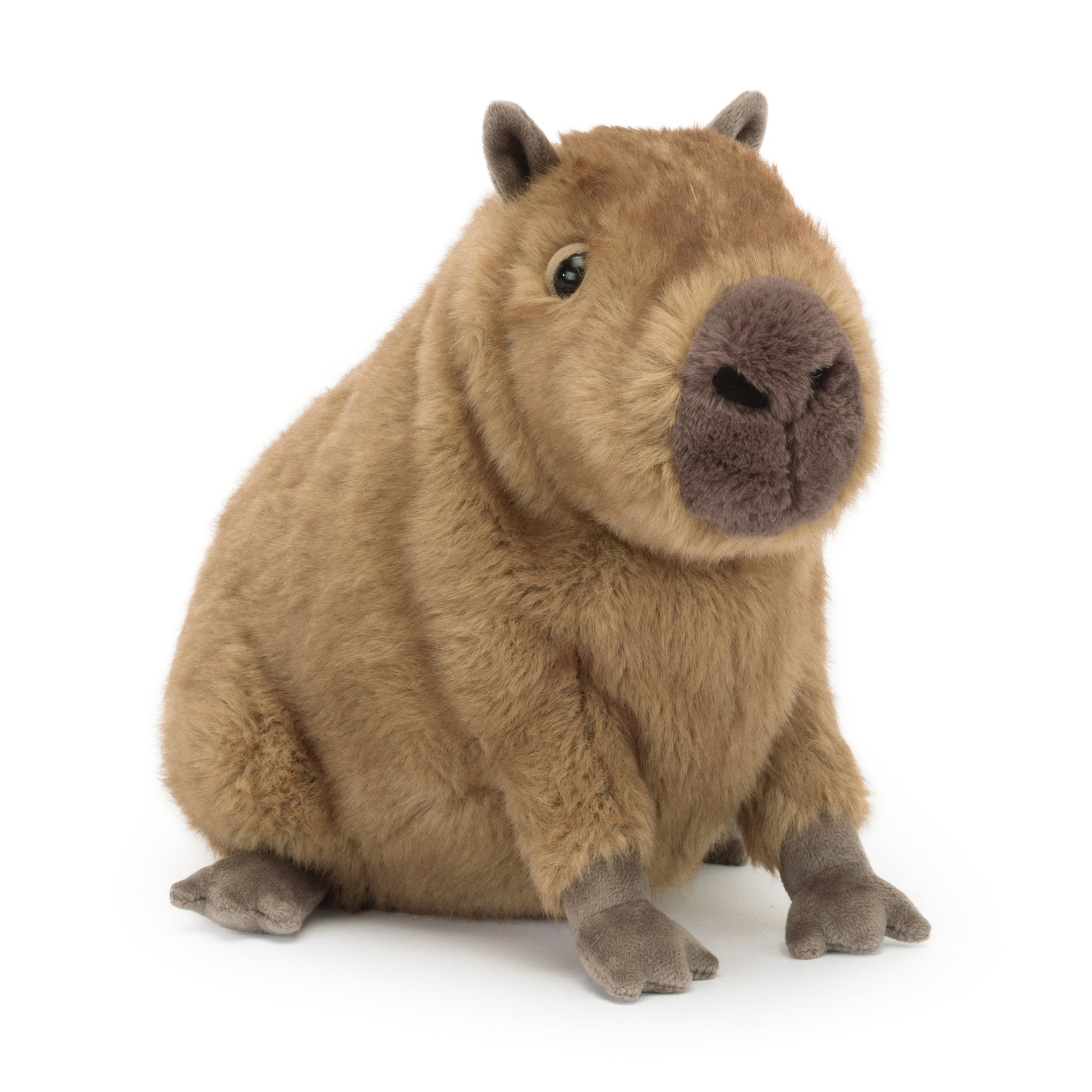 Jellycat Clyde Capybara Plush Toy