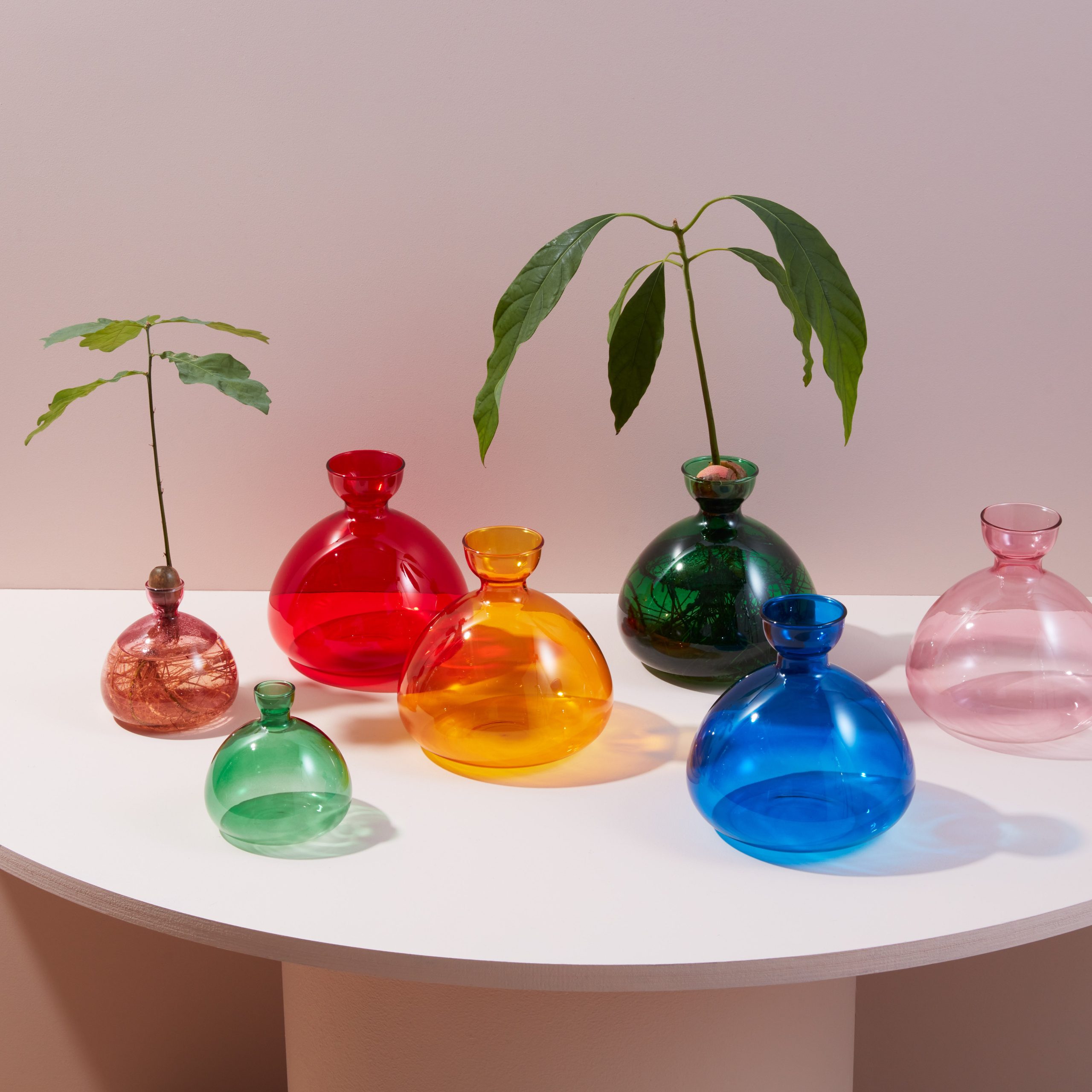 Acorn Vase - Clear - Image 6