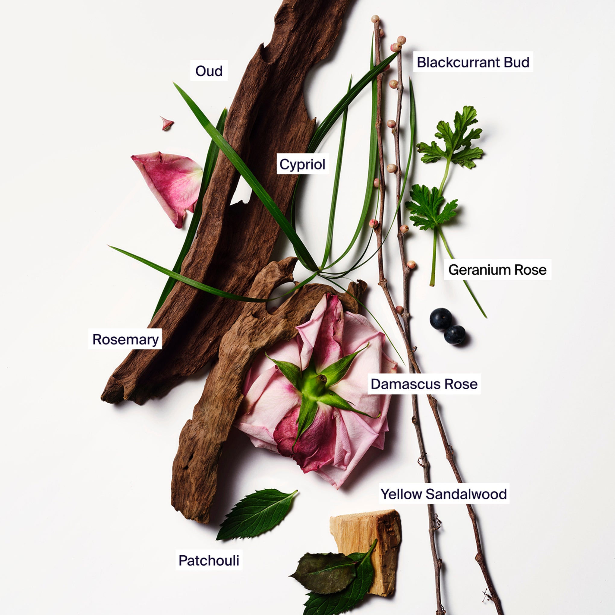 Horace Oud Rose Fragrance - 3.38fl oz - Image 2