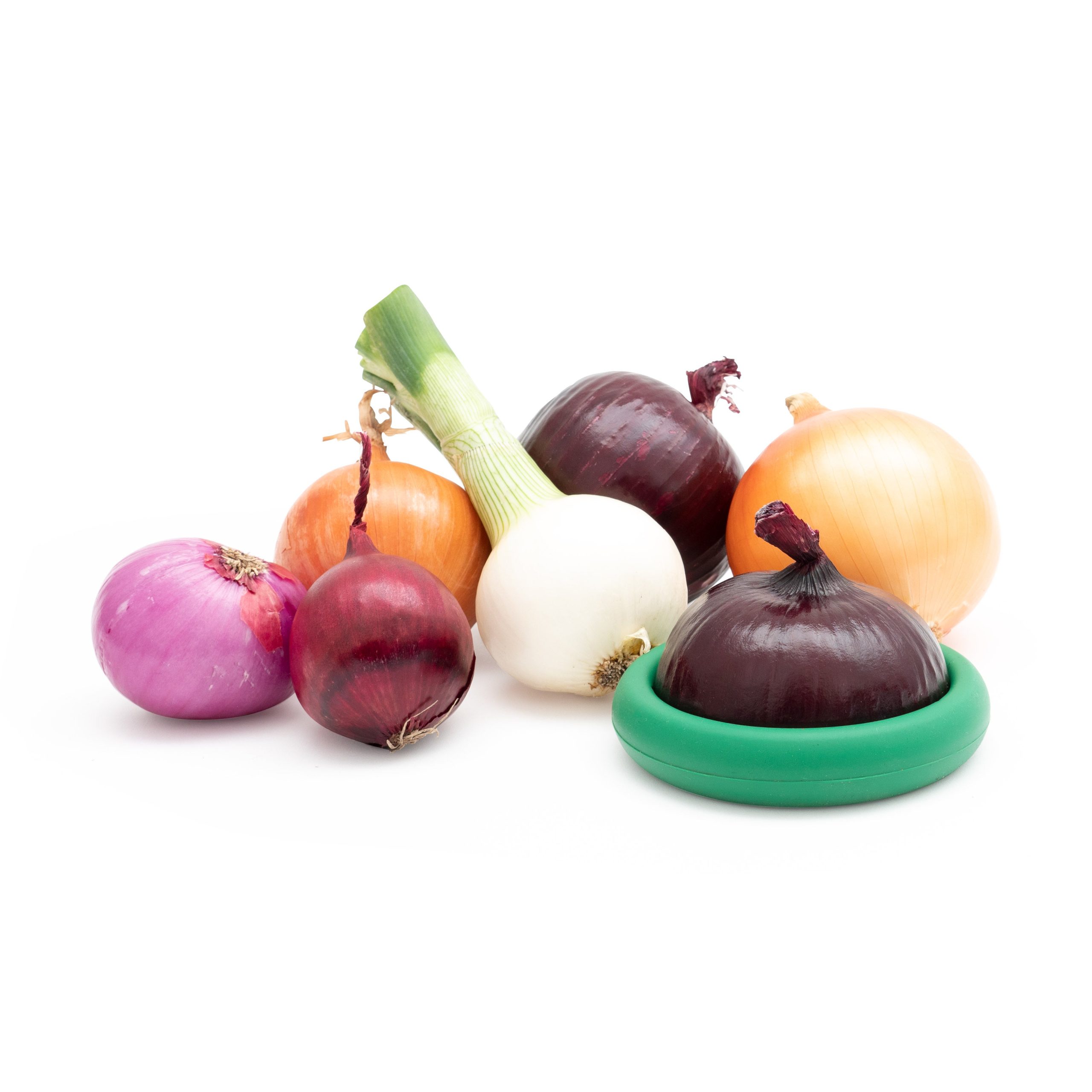 Food Huggers - Green/ Multi - Image 11