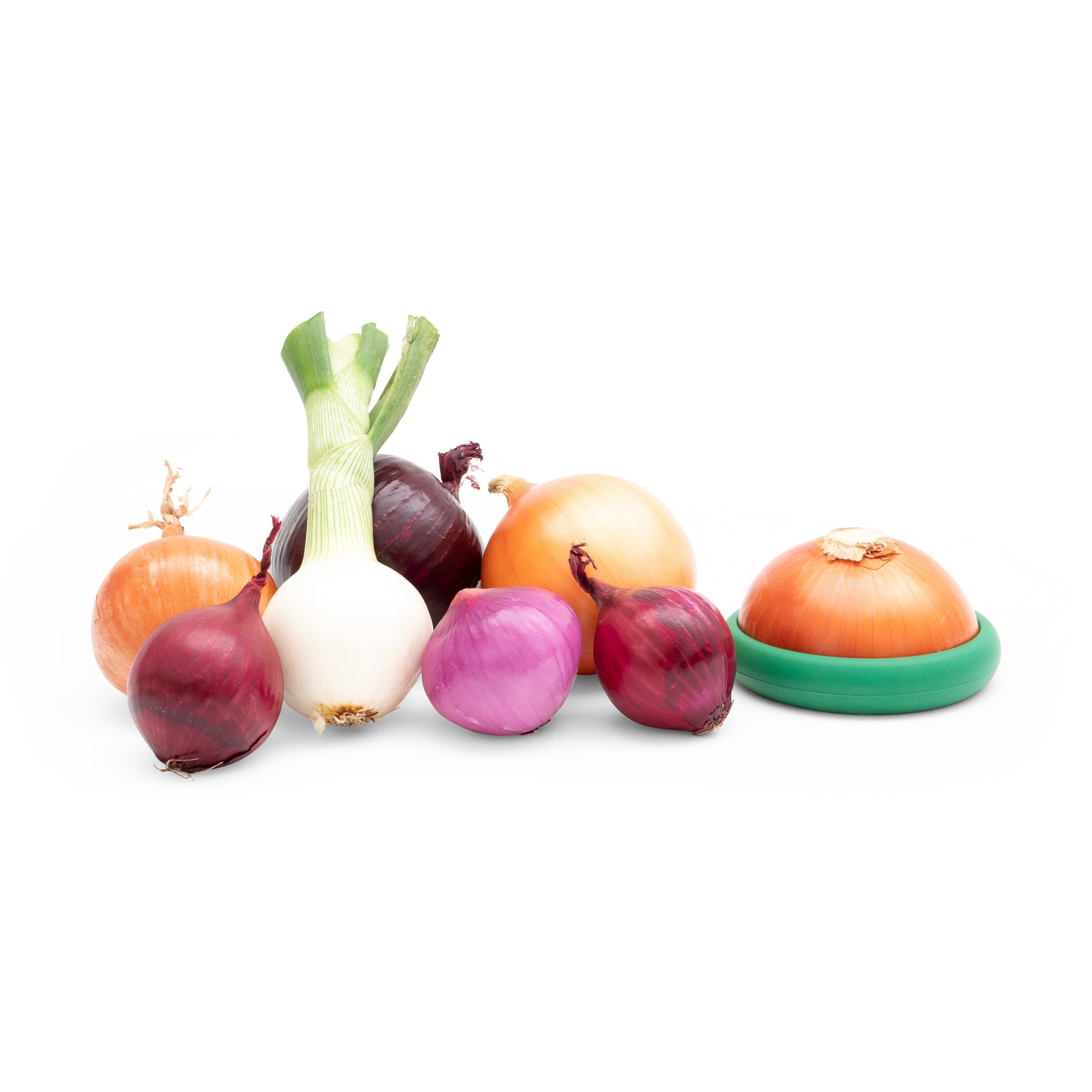 Food Huggers - Green/ Multi - Image 12