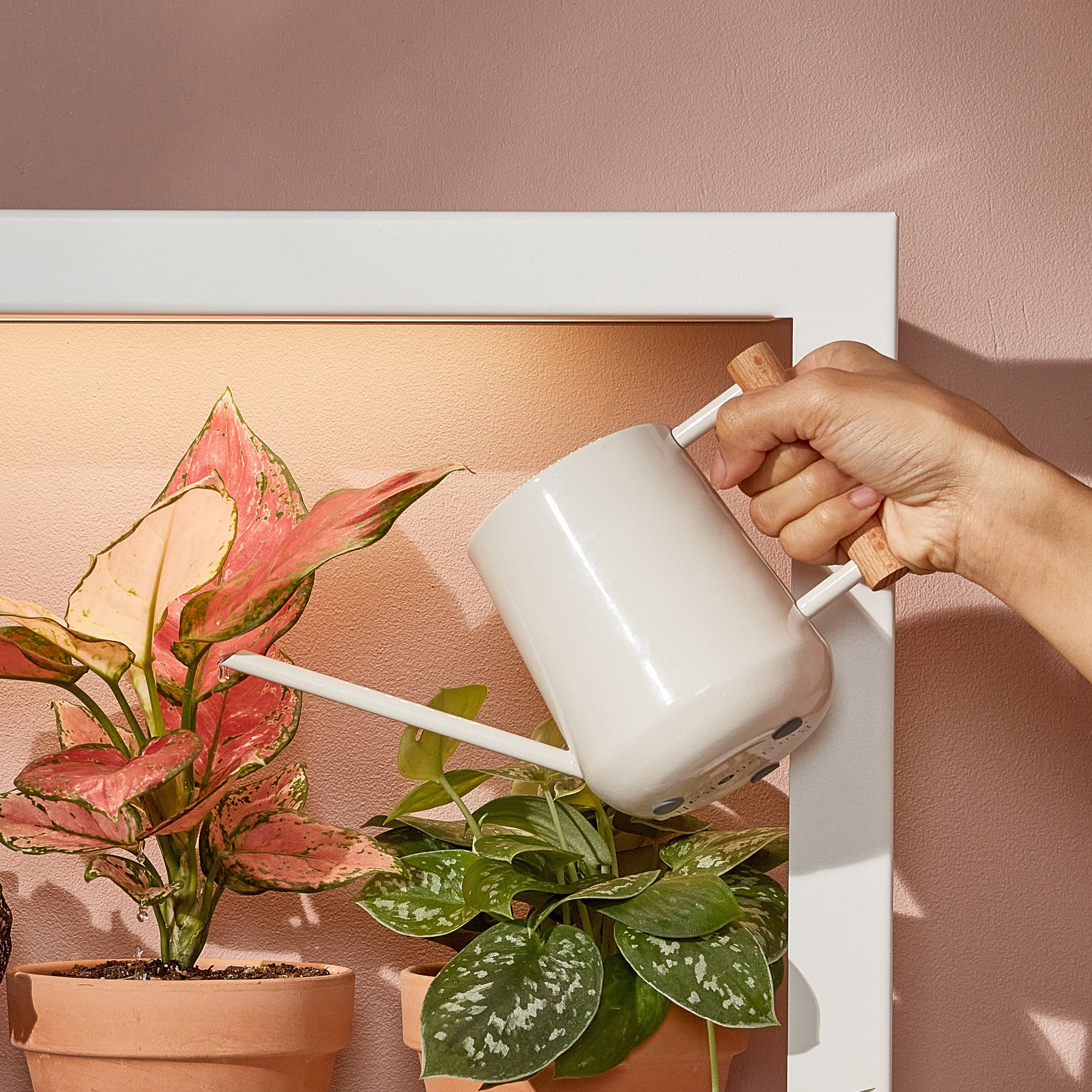 Burgon & Ball Steel Watering Can - White - Image 5