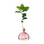 Acorn Vase - Pink