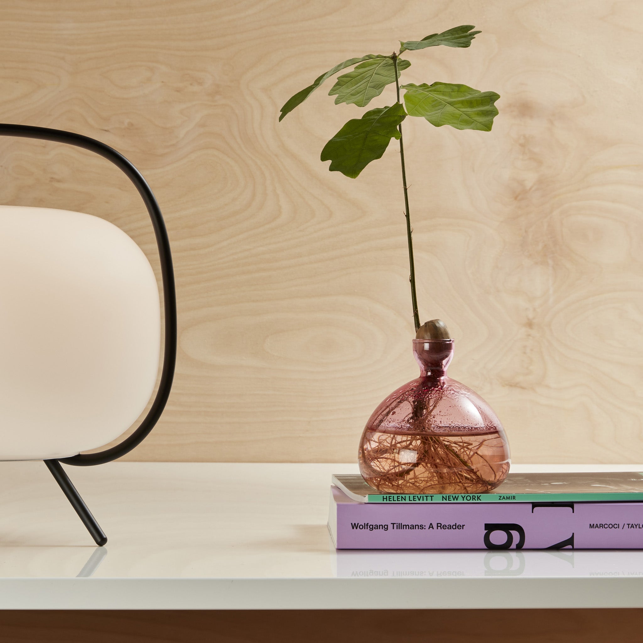 Acorn Vase - Clear - Image 2