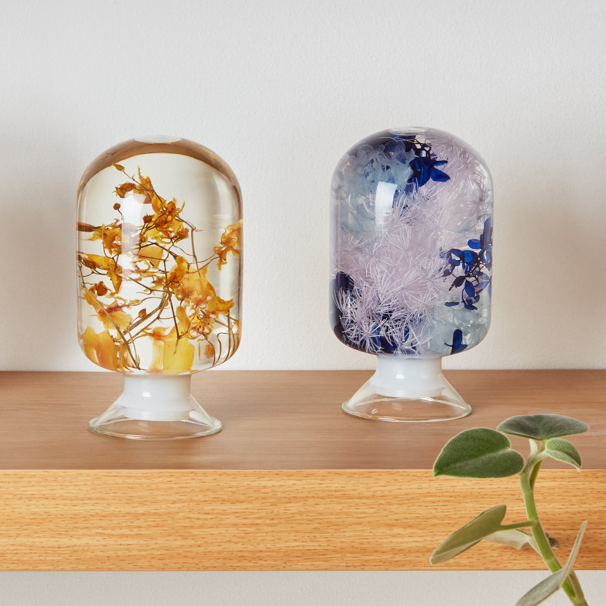 Pieces of Time Flower Objet d'Art - Yellow Oncidium - Image 8