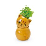 Corocoro Cat Planter - Single
