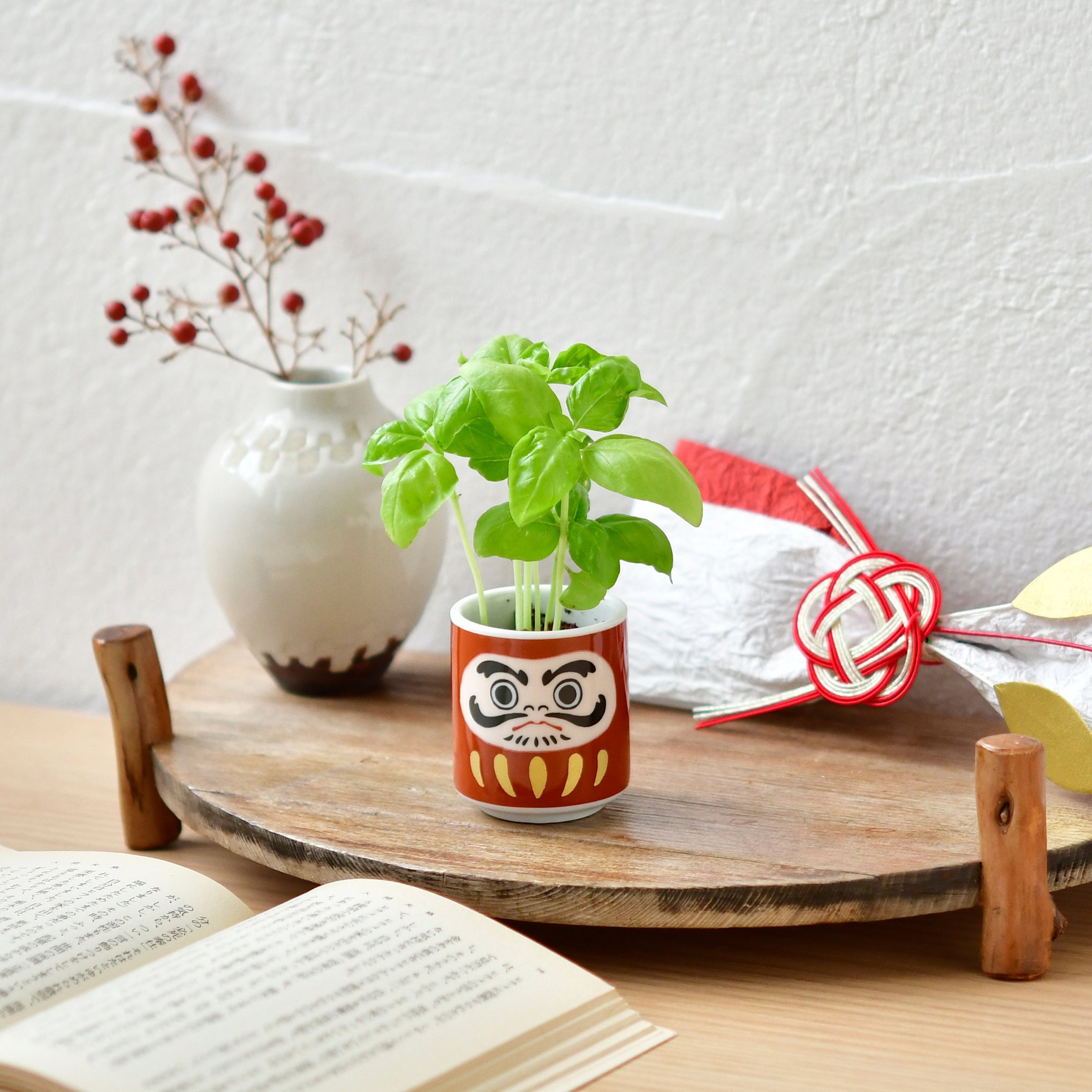 Lucky Mini Planter Kit - Daruma / Basil - Image 2