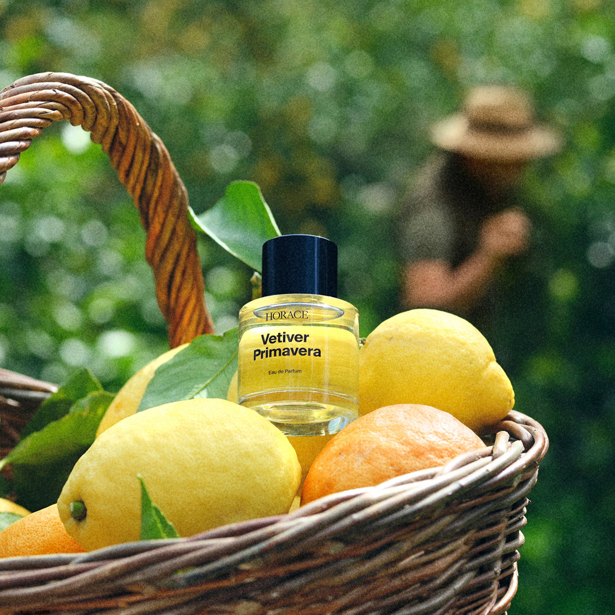 Horace Vetiver Primavera Fragrance - 1.69fl oz - Image 5