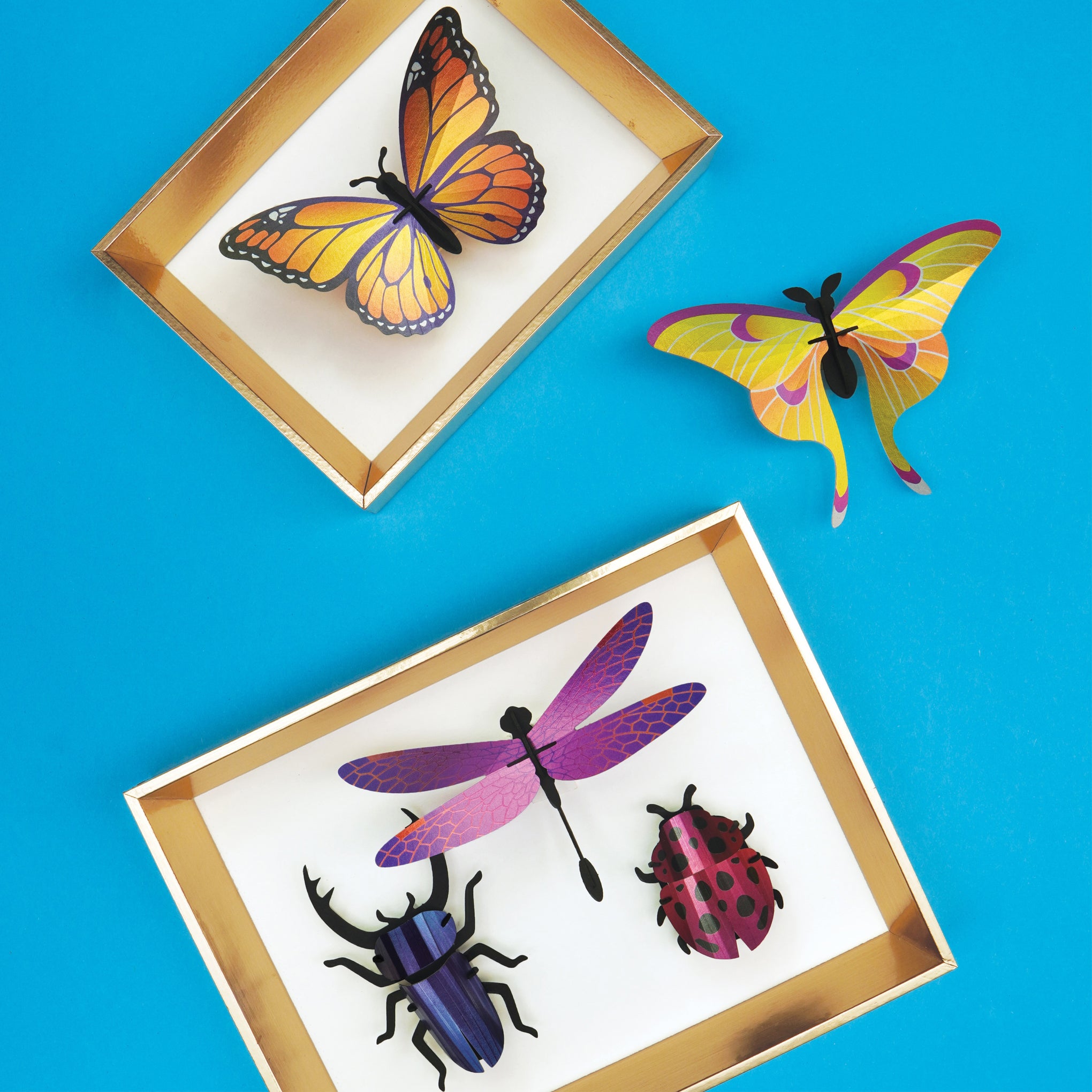 DIY 3D Shiny Insect Kit - Image 2