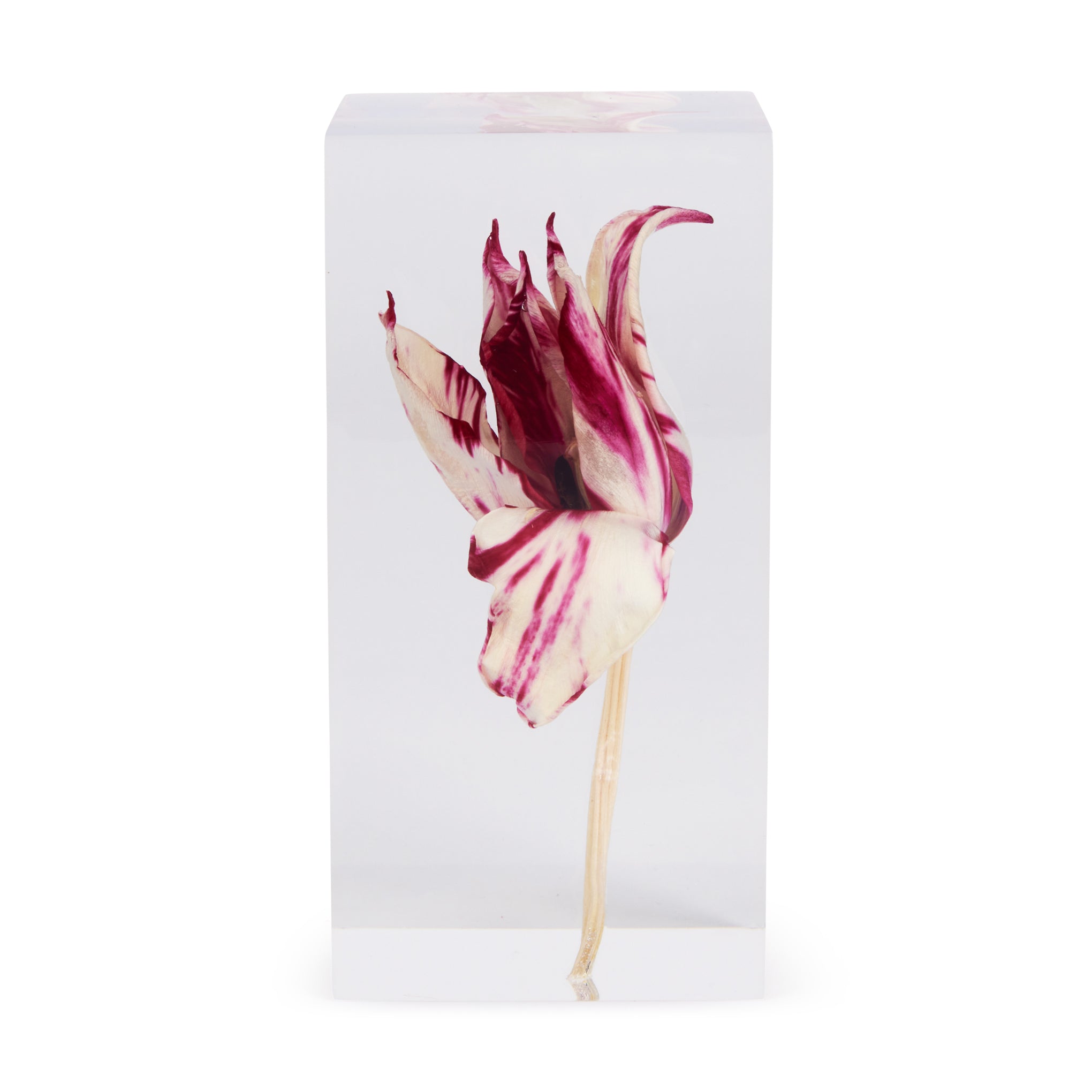 Rare Tulip Objet d'Art - Image 3