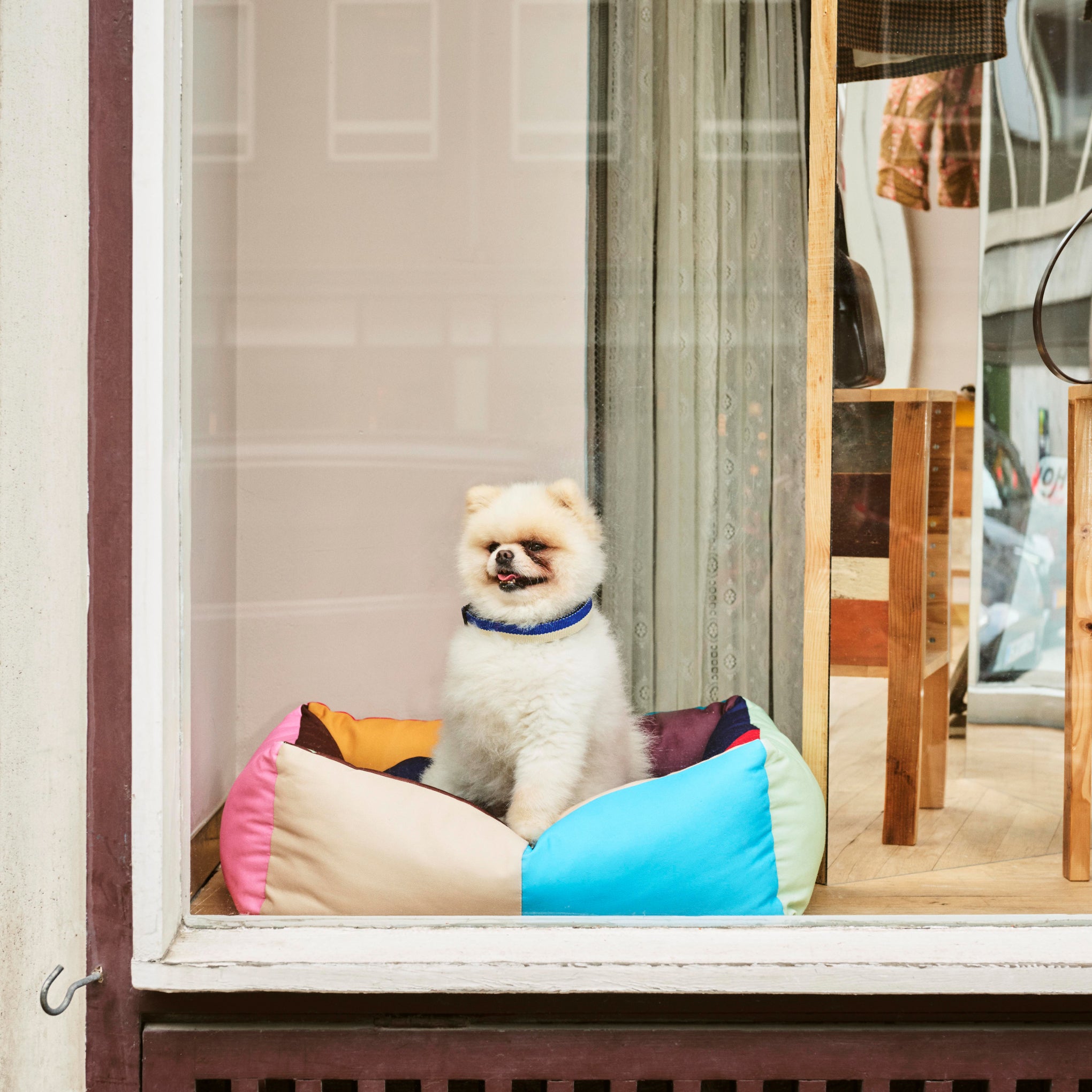 HAY Dog Bed in Recycled Polyester - Multi - Image 7