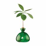 Avocado Vase - Emerald Green