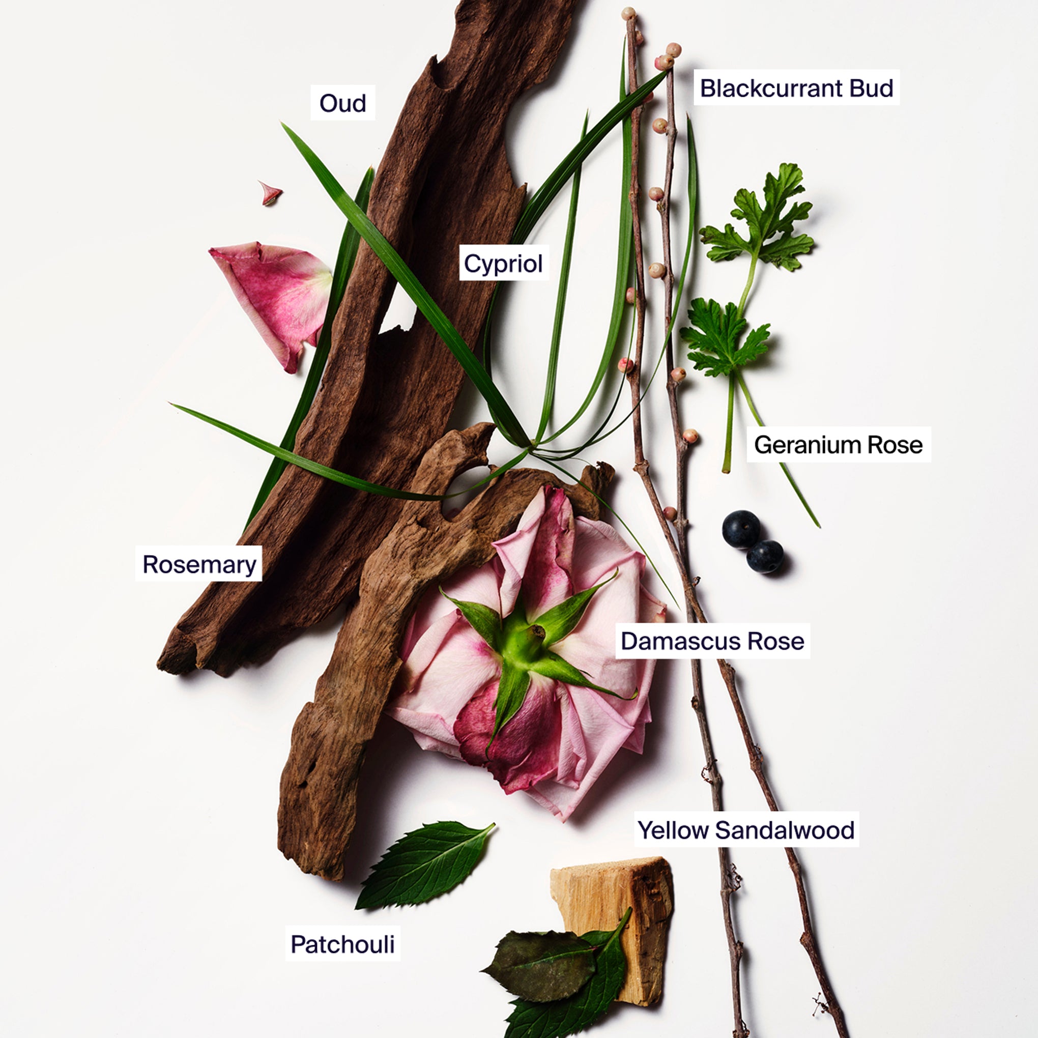 Horace Oud Rose Fragrance - 1.69fl oz - Image 3