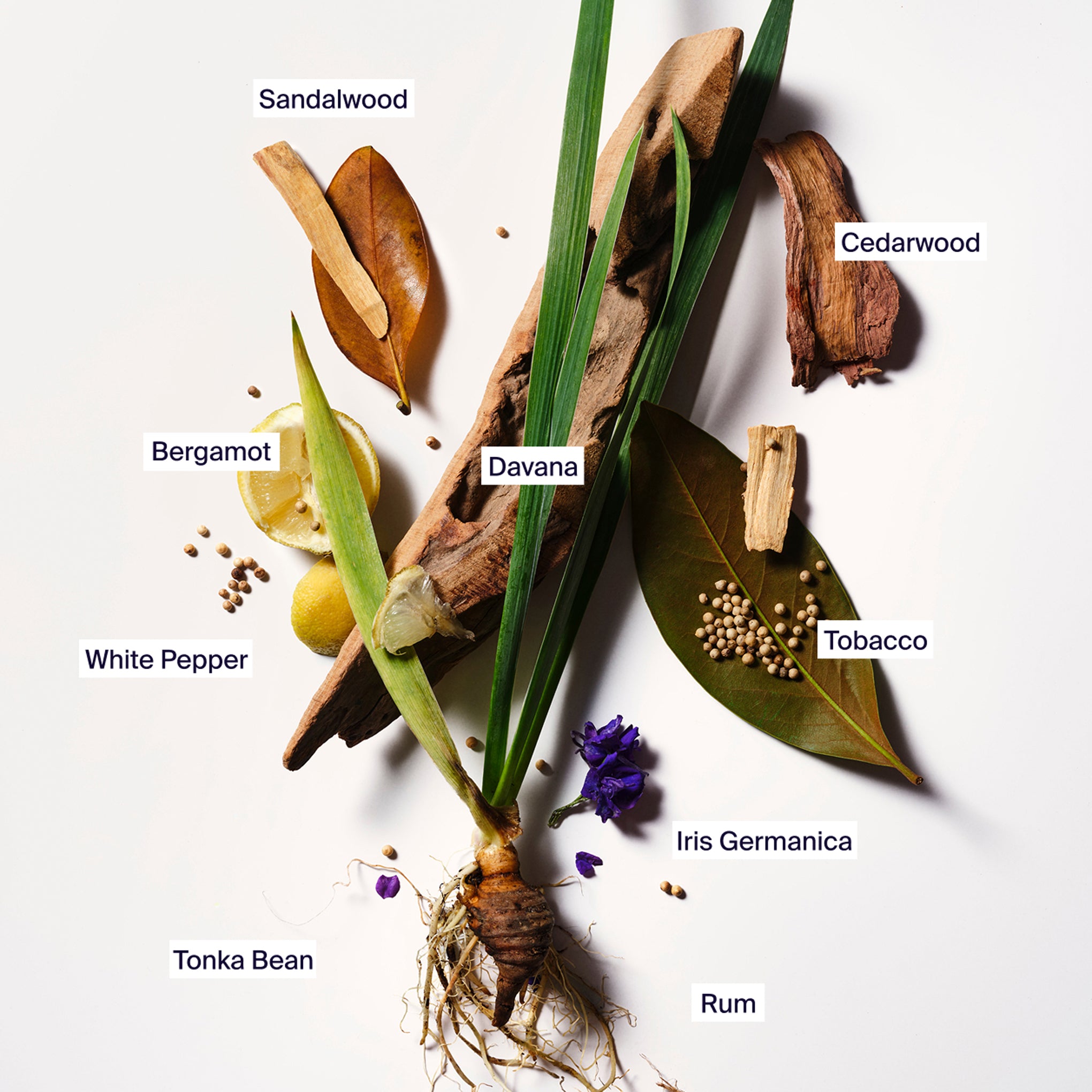 Horace &Horace Fragrance - 1.69fl oz - Image 2