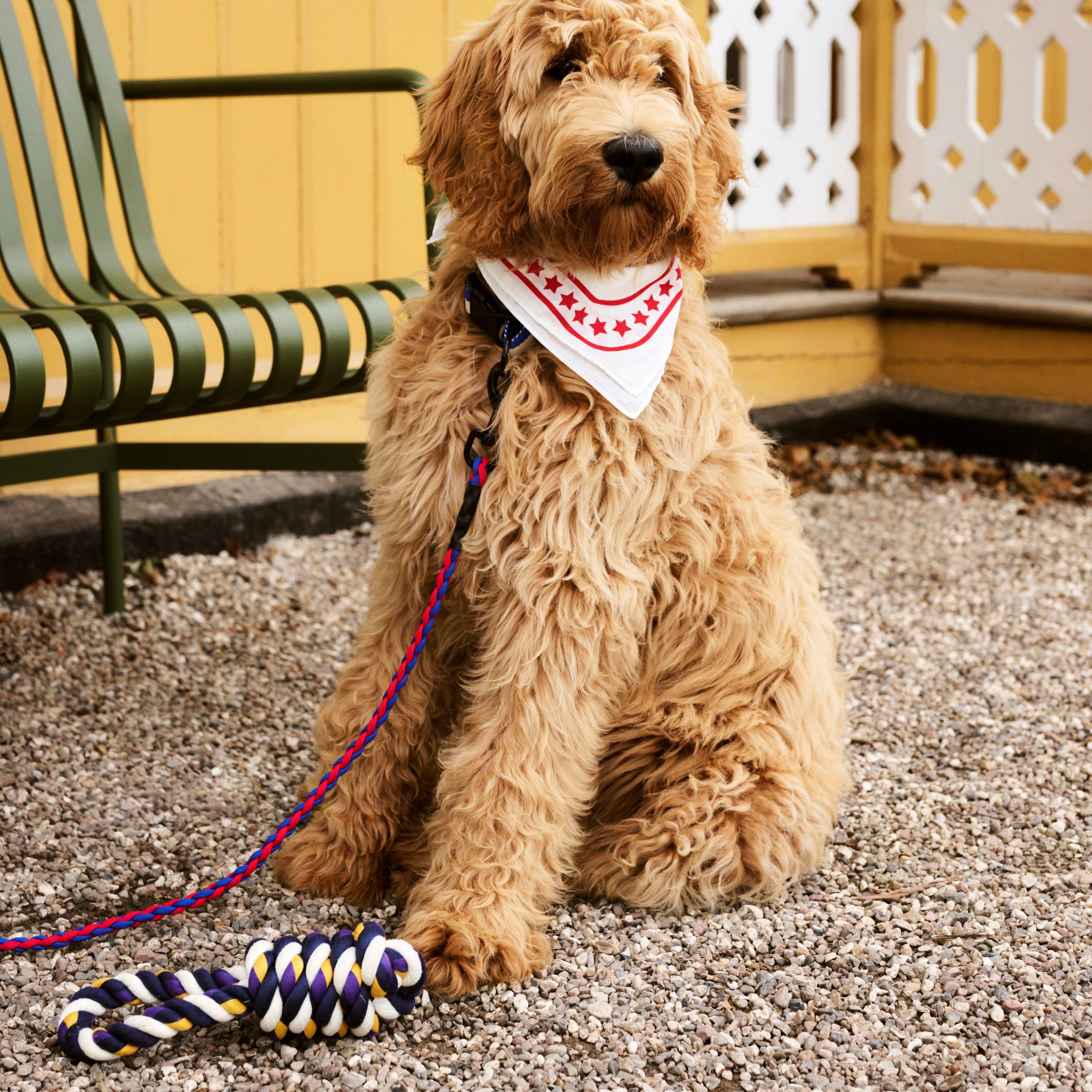 HAY Rope Toy for Dogs in Recycled Polyester - Red/ Turquoise - Image 2
