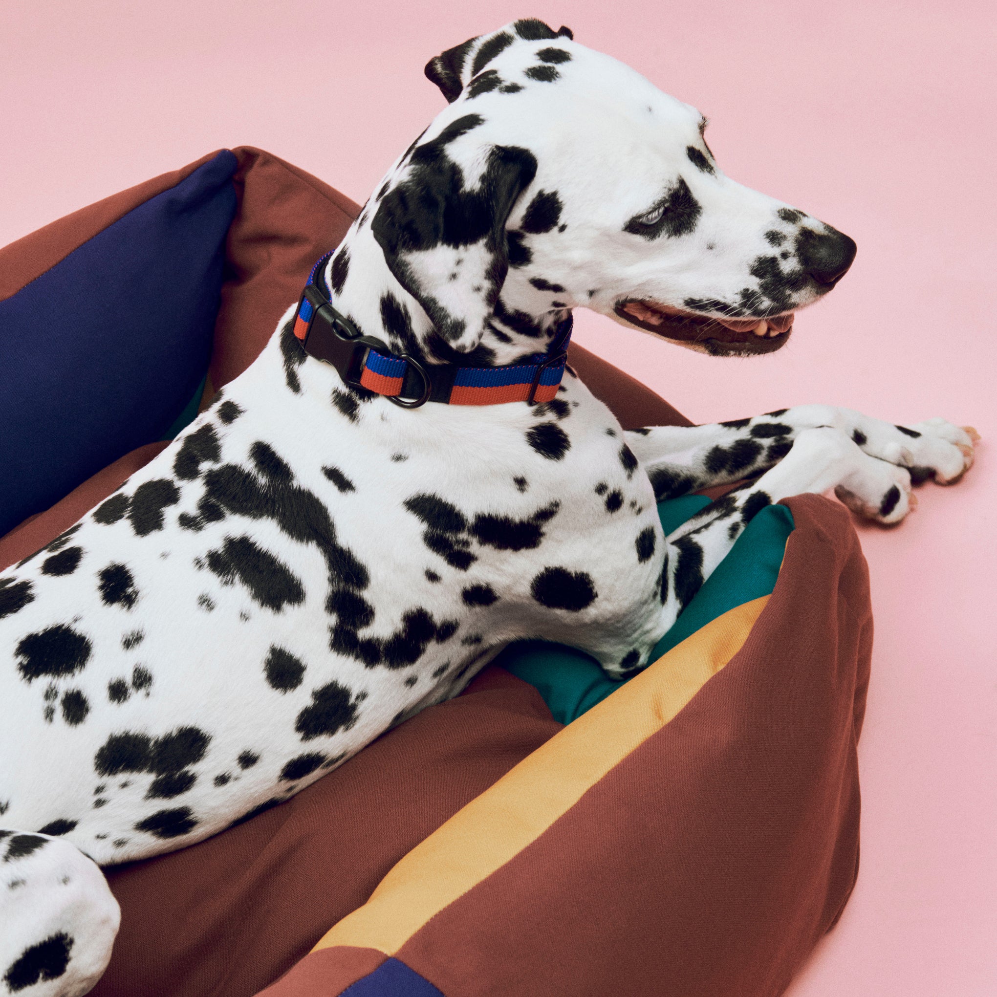 HAY Dog Bed in Recycled Polyester - Multi - Image 8