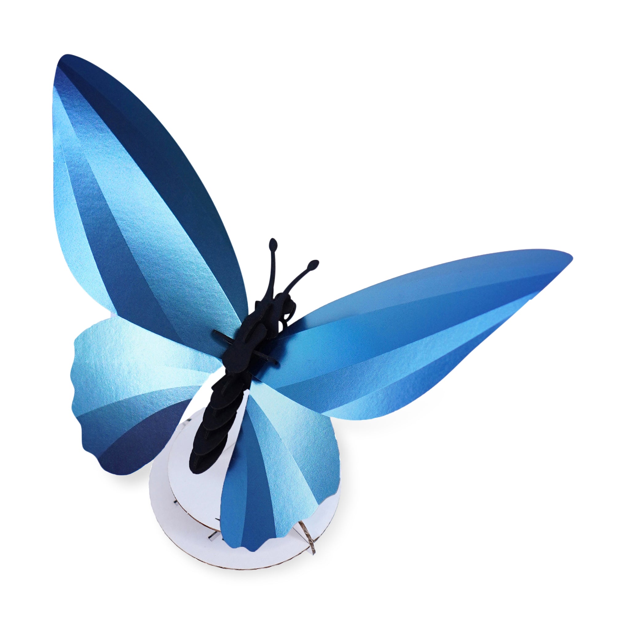 Assembli Shop DIY Reflective Paper Kit - Butterfly - Image 3