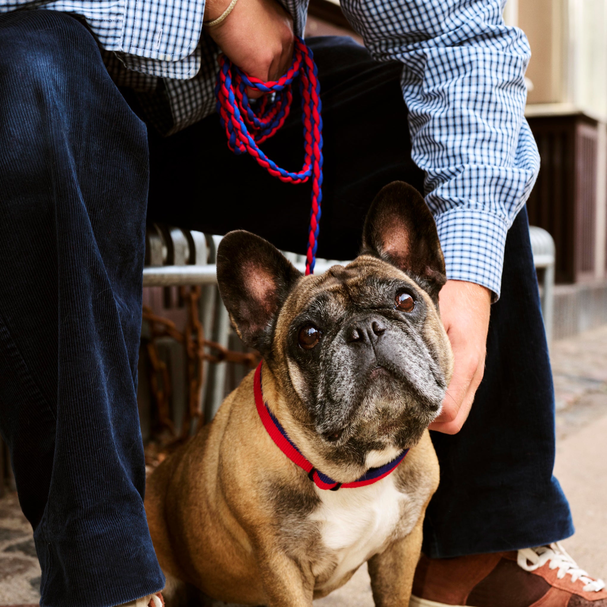 HAY Flat Dog Collar in Recycled Polyester - Red/ Blue - Image 2
