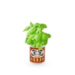 Lucky Mini Planter Kit - Daruma / Basil
