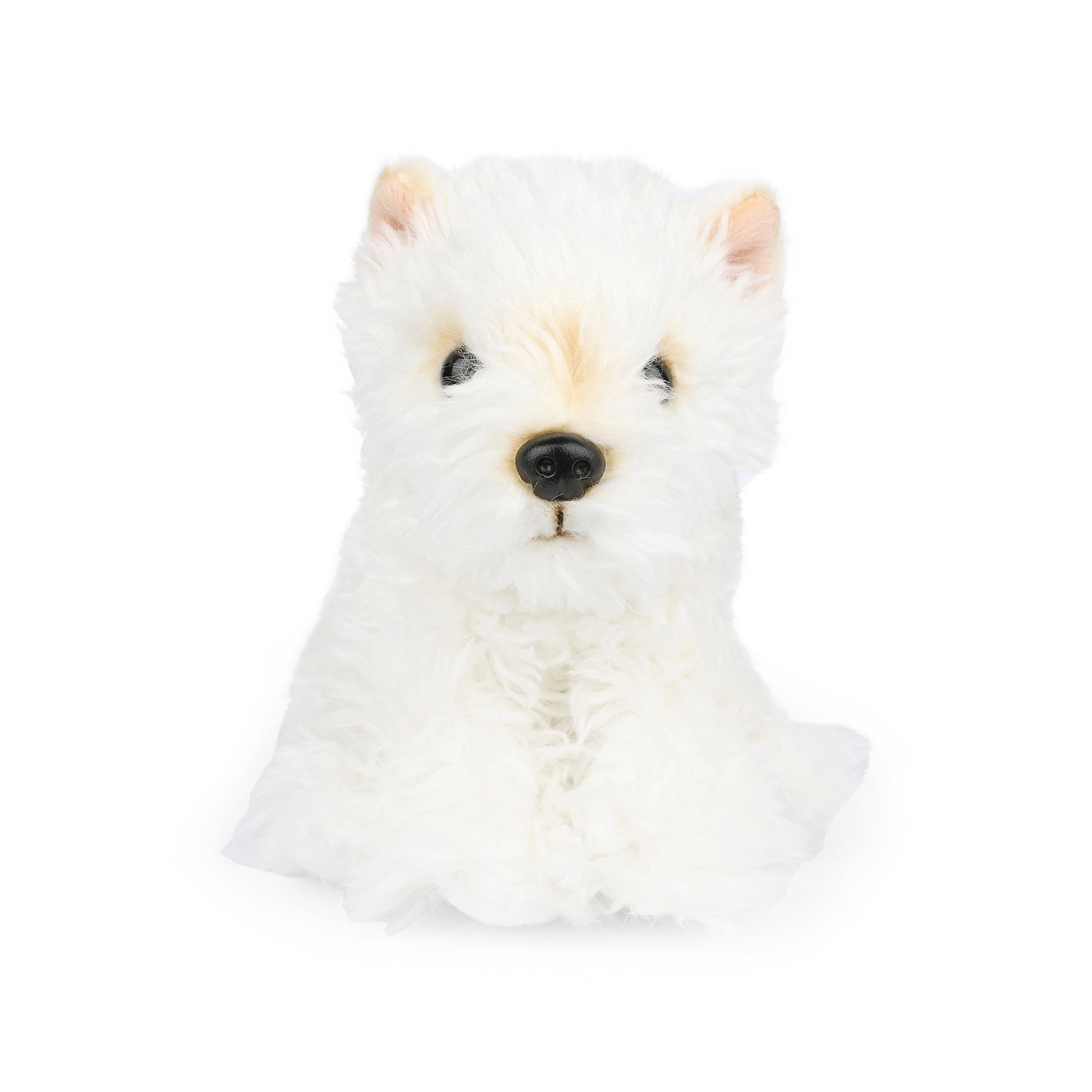 Plush Chaps Series Pet Toy - Timothy the Scottish Terrier