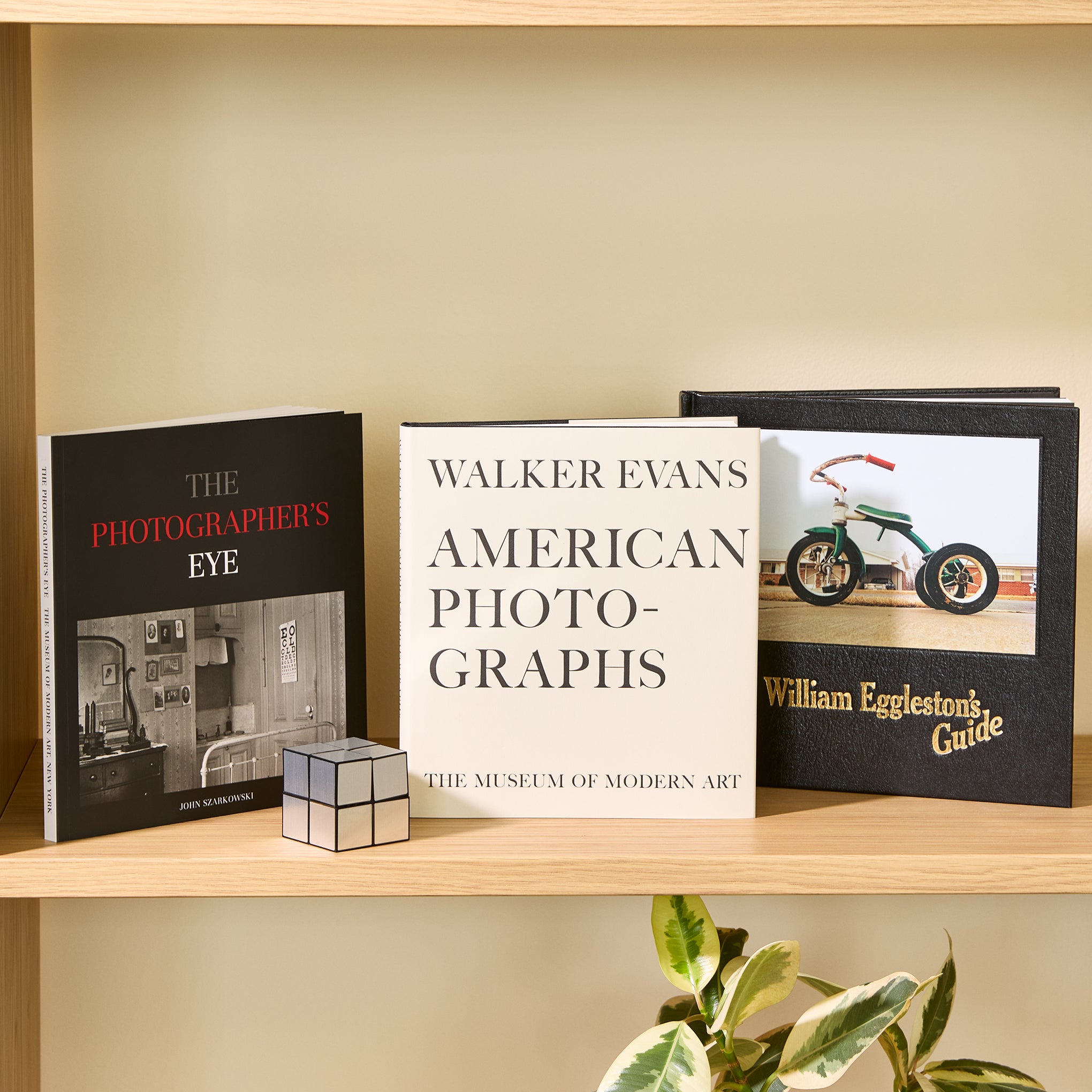 MoMA Photography Classics Book Collection - Set of 3 - Image 2