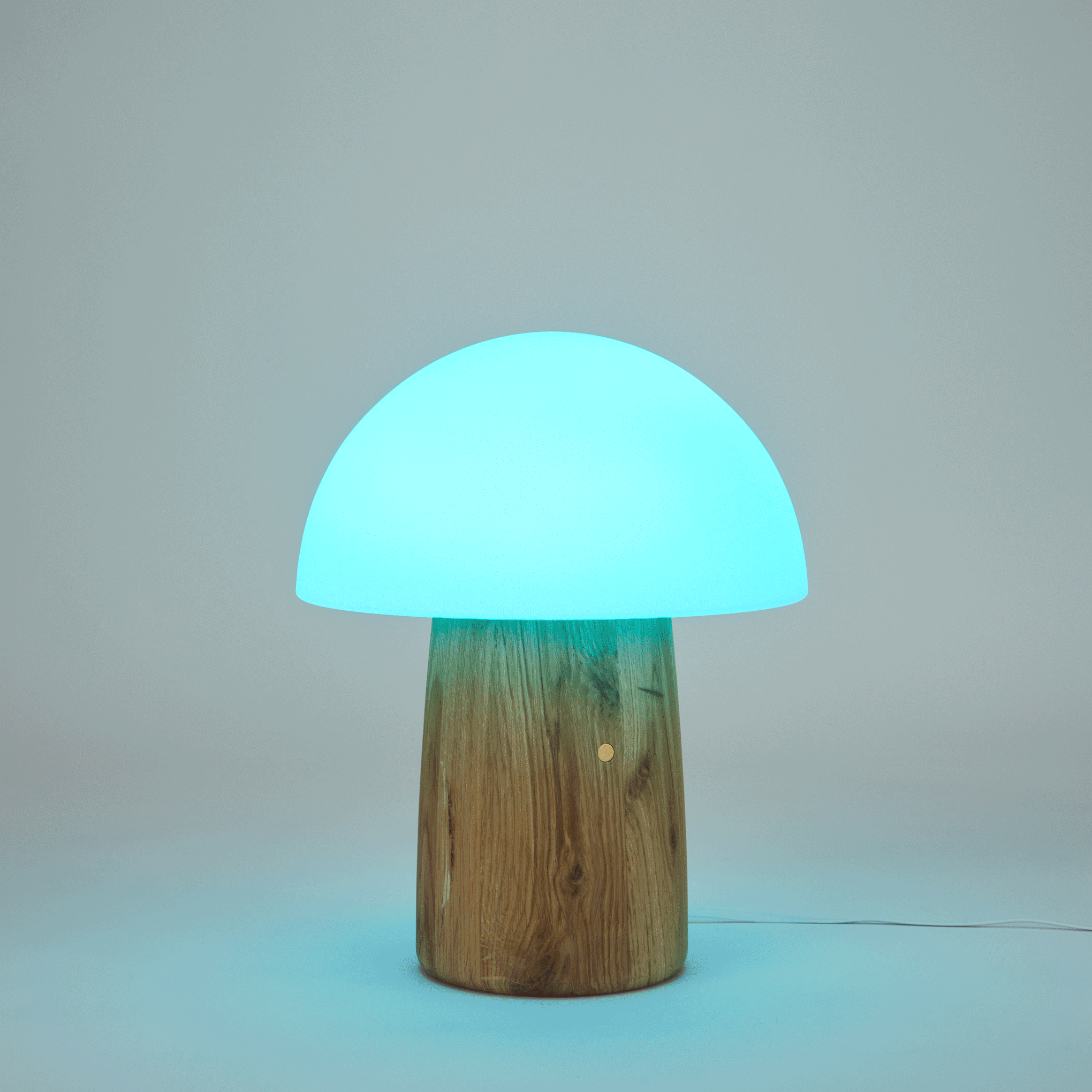 Alice Mushroom Lamp - Large - Image 9