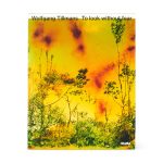 Wolfgang Tillmans: To look without fear - Hardcover