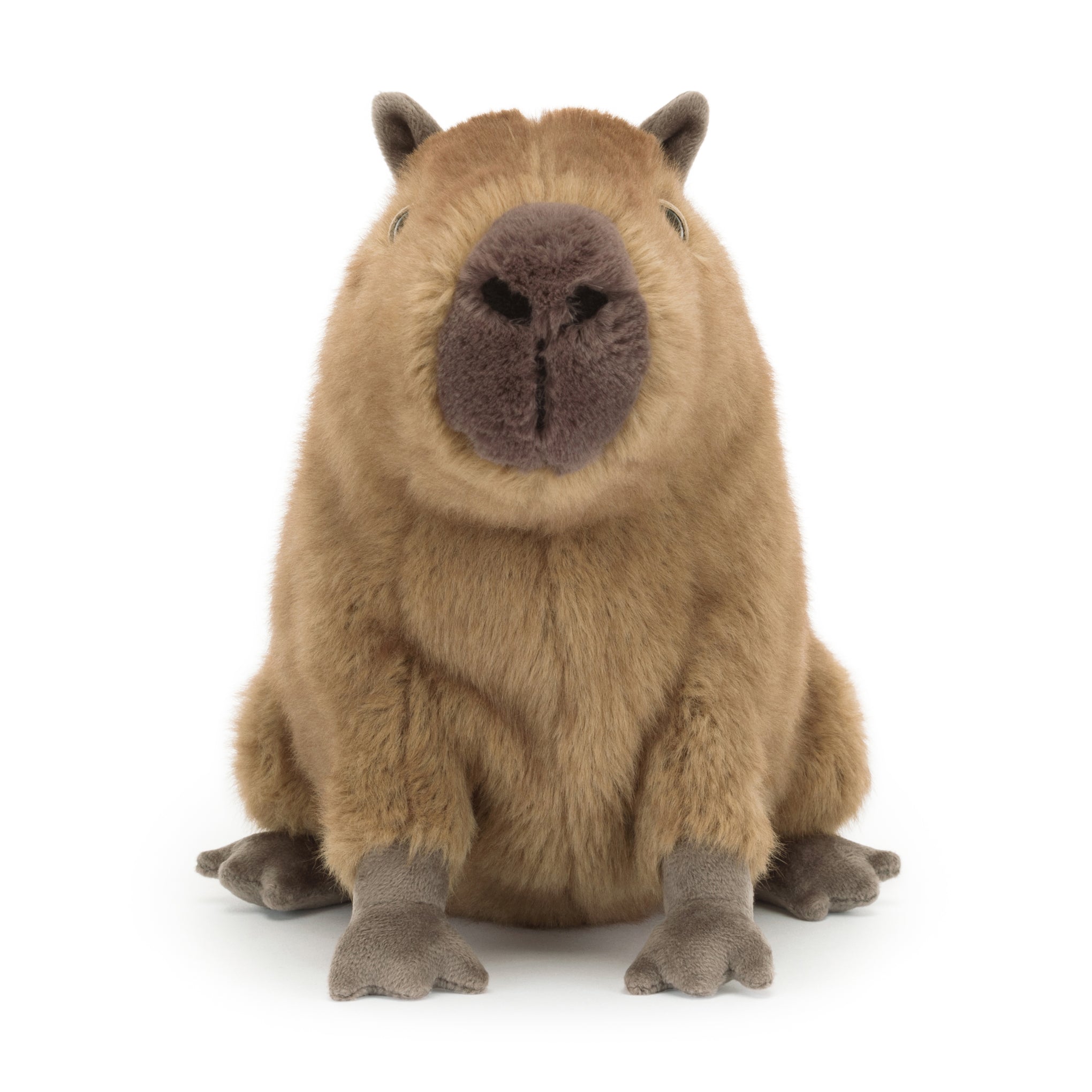 Jellycat Clyde Capybara Plush Toy - Image 4