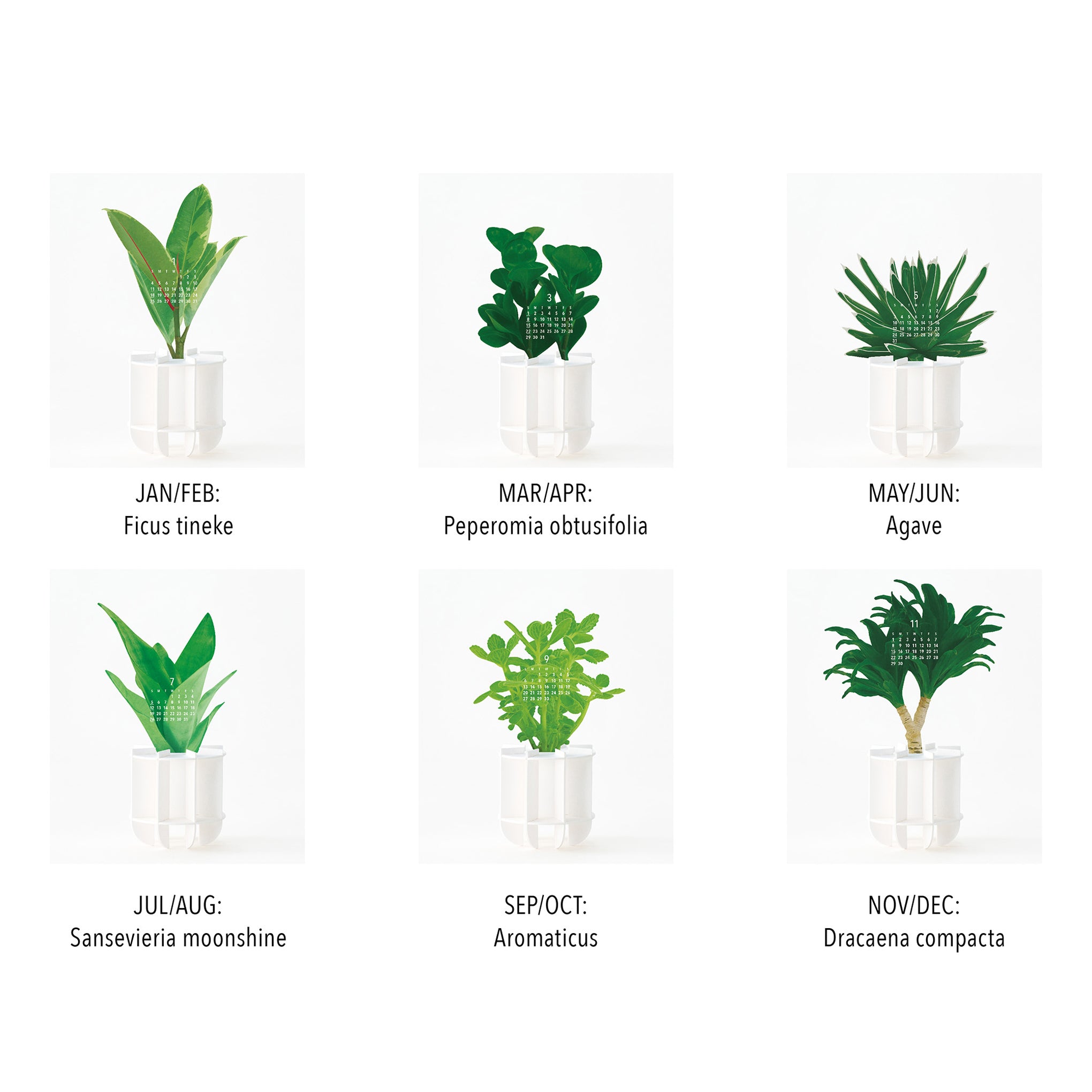 2026 Green Desk Calendar - Image 5