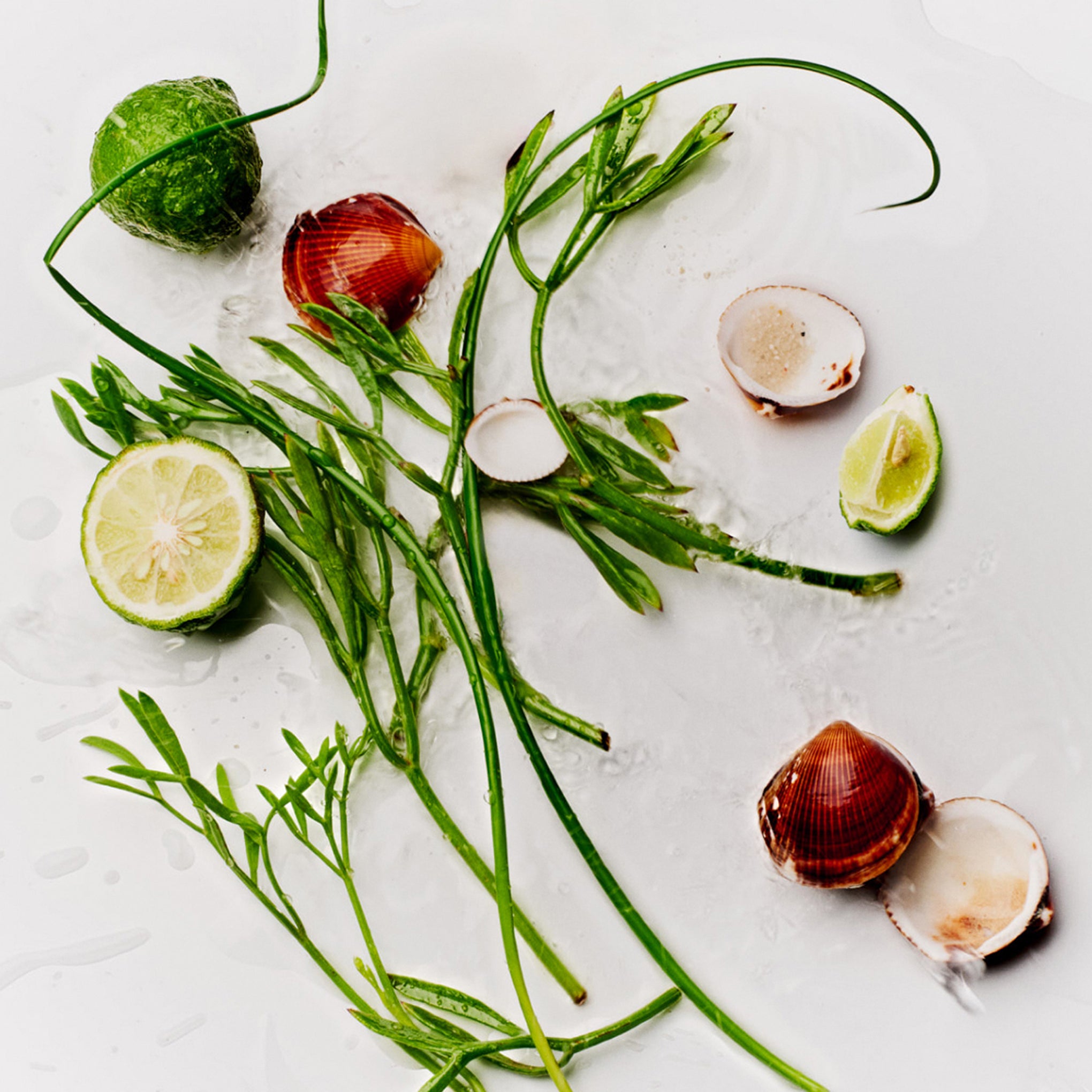 Horace 12H Protection Deodorant - Bergamot & Sea Fennel - Image 4