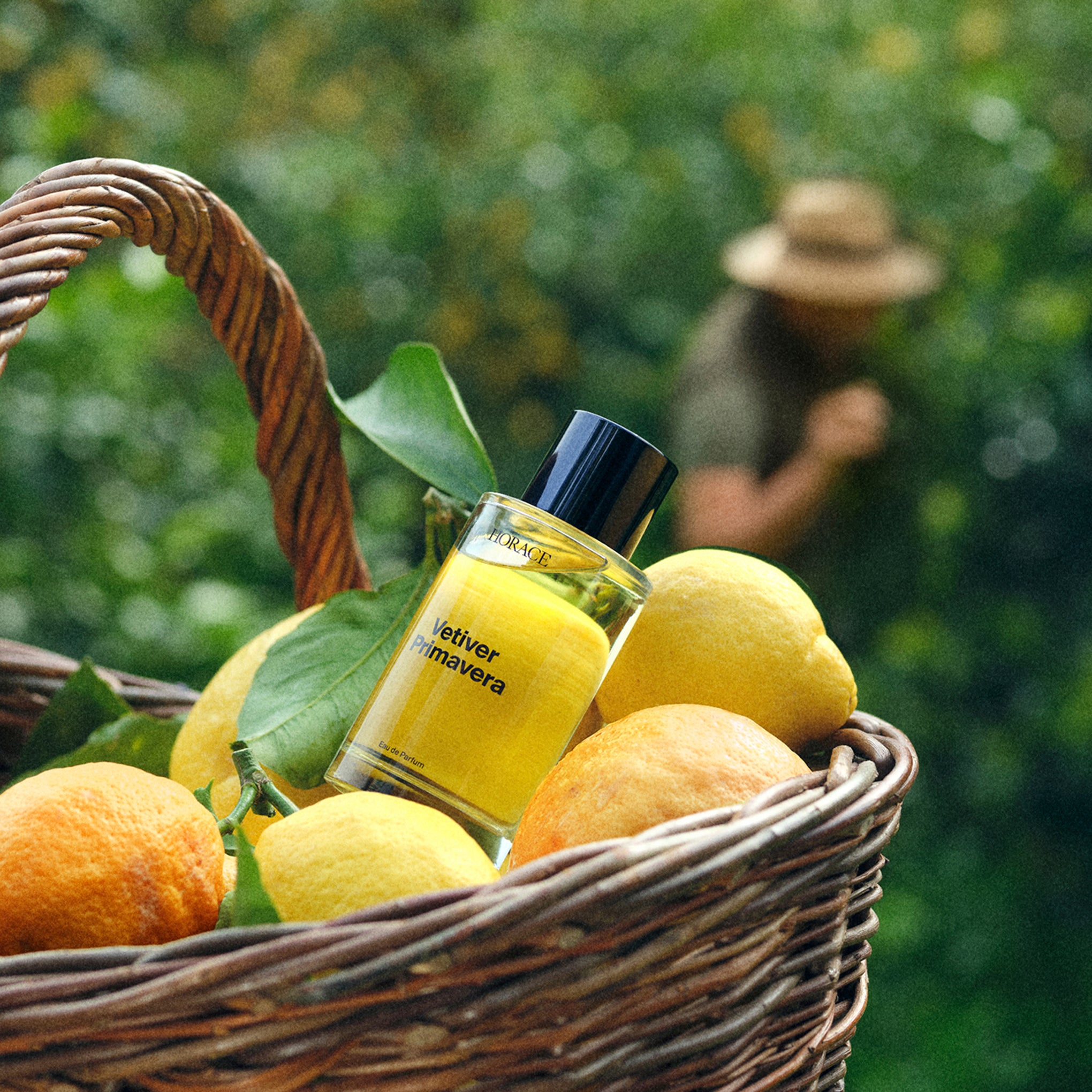 Horace Vetiver Primavera Fragrance - 3.38fl oz - Image 5