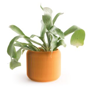 3D-Printed Planter - 5