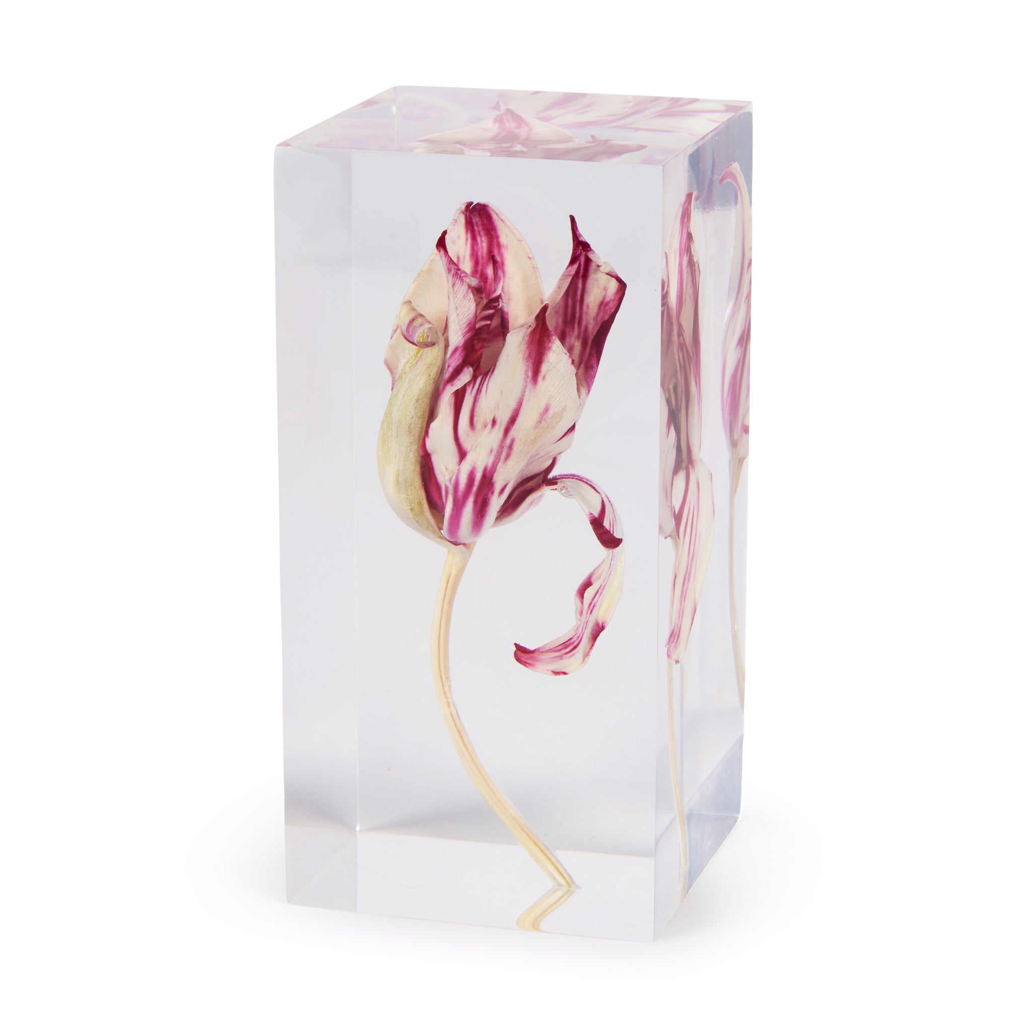 Rare Tulip Objet d'Art - Image 4