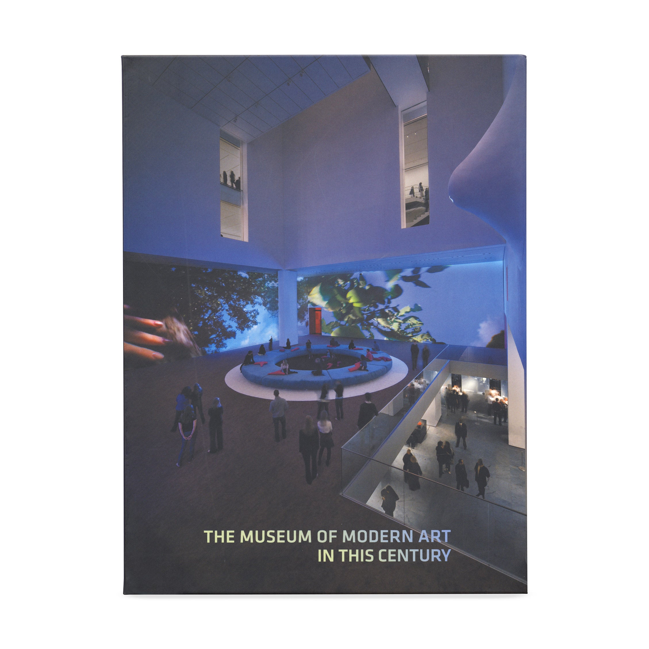 The Museum of Modern Art in This Century - Paperback