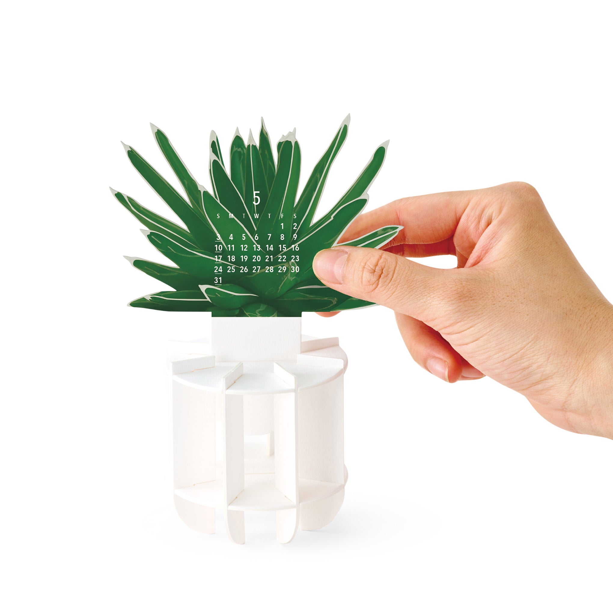 2026 Green Desk Calendar - Image 3