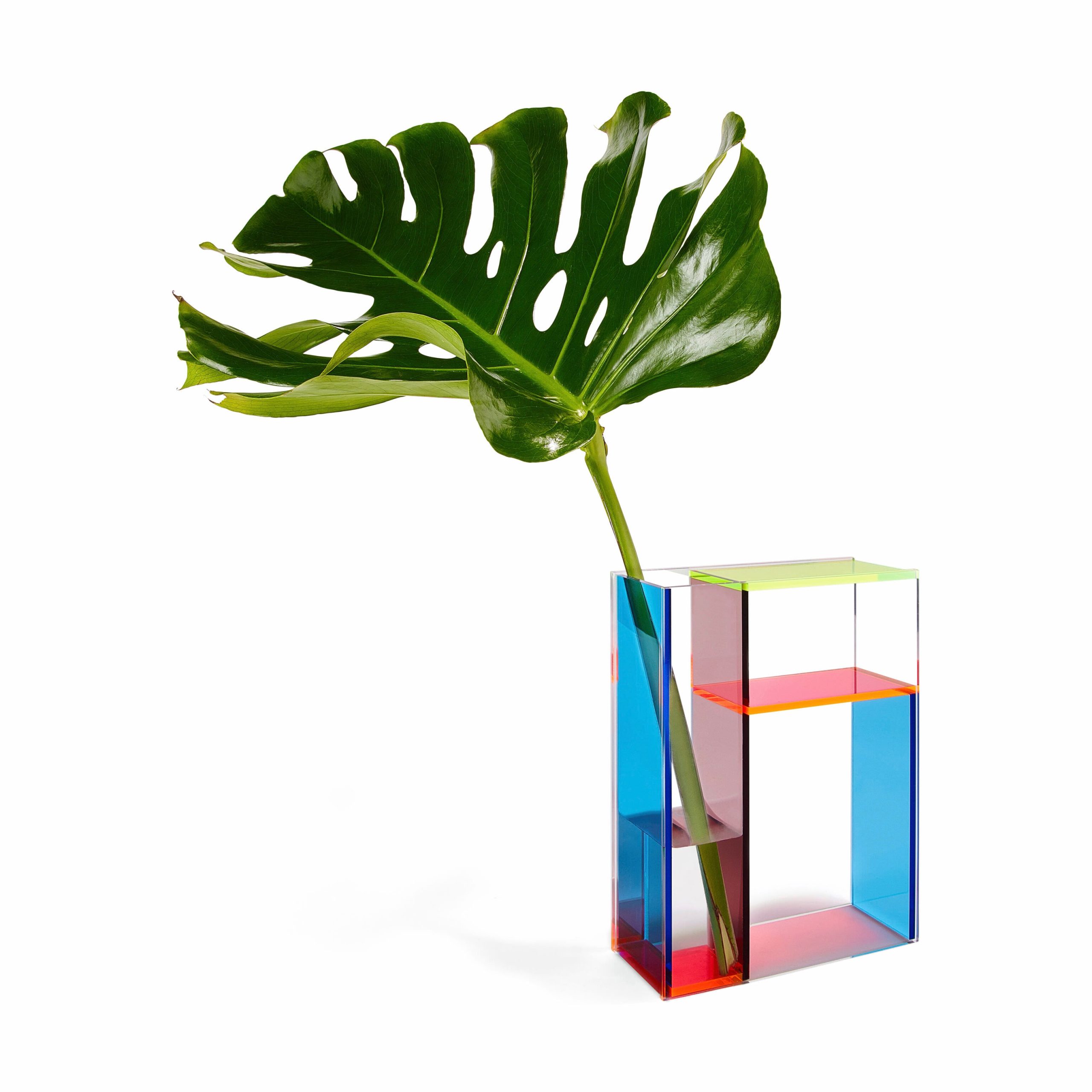 Mondri Vase - Neon - Image 5