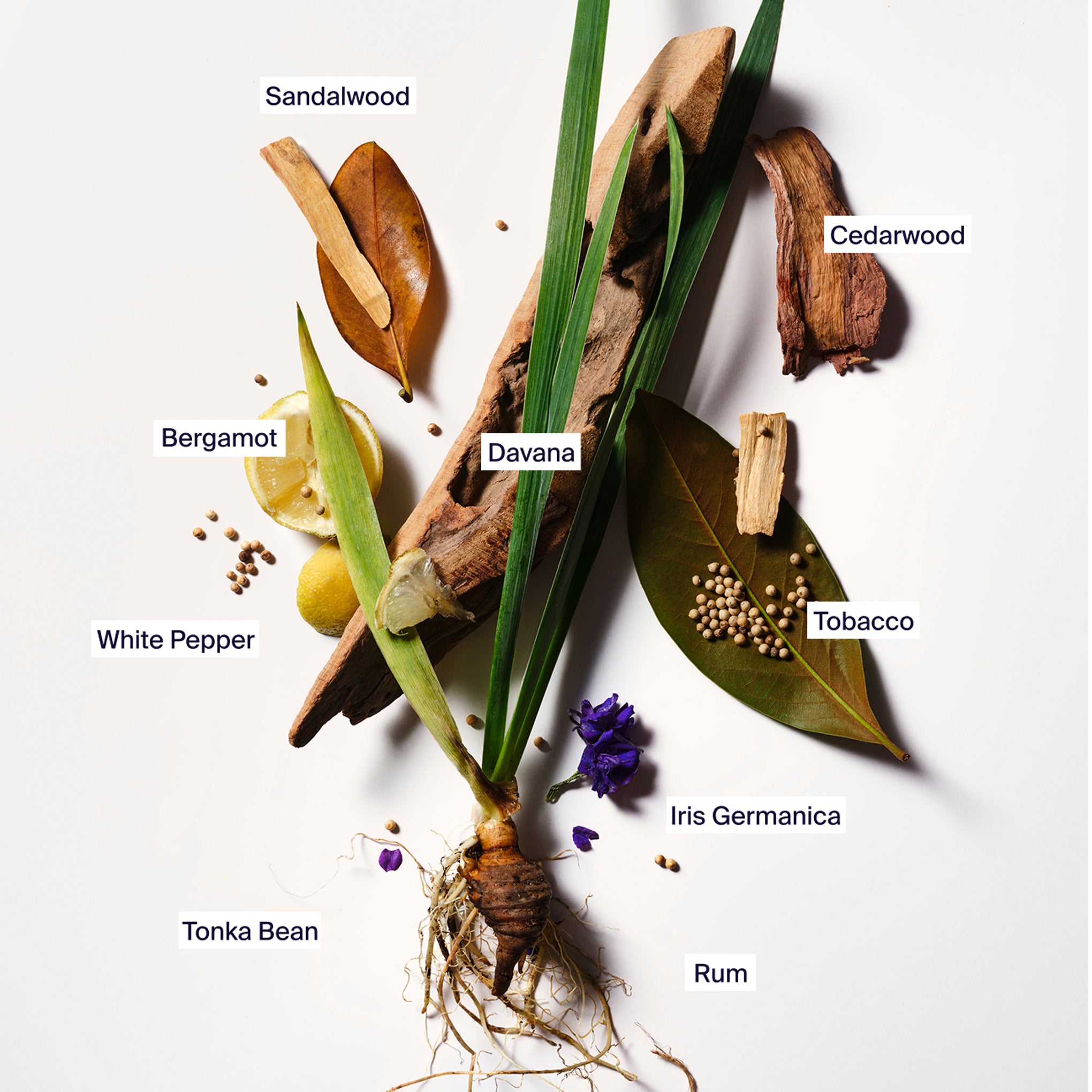 Horace &Horace Fragrance - 3.38fl oz - Image 3