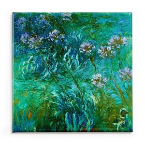 Claude Monet: Agapanthus Magnet