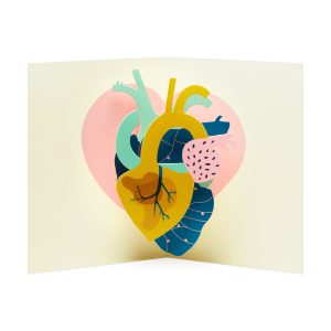 Make My Heart Pound Pop-Up Note Cards - Set of 6