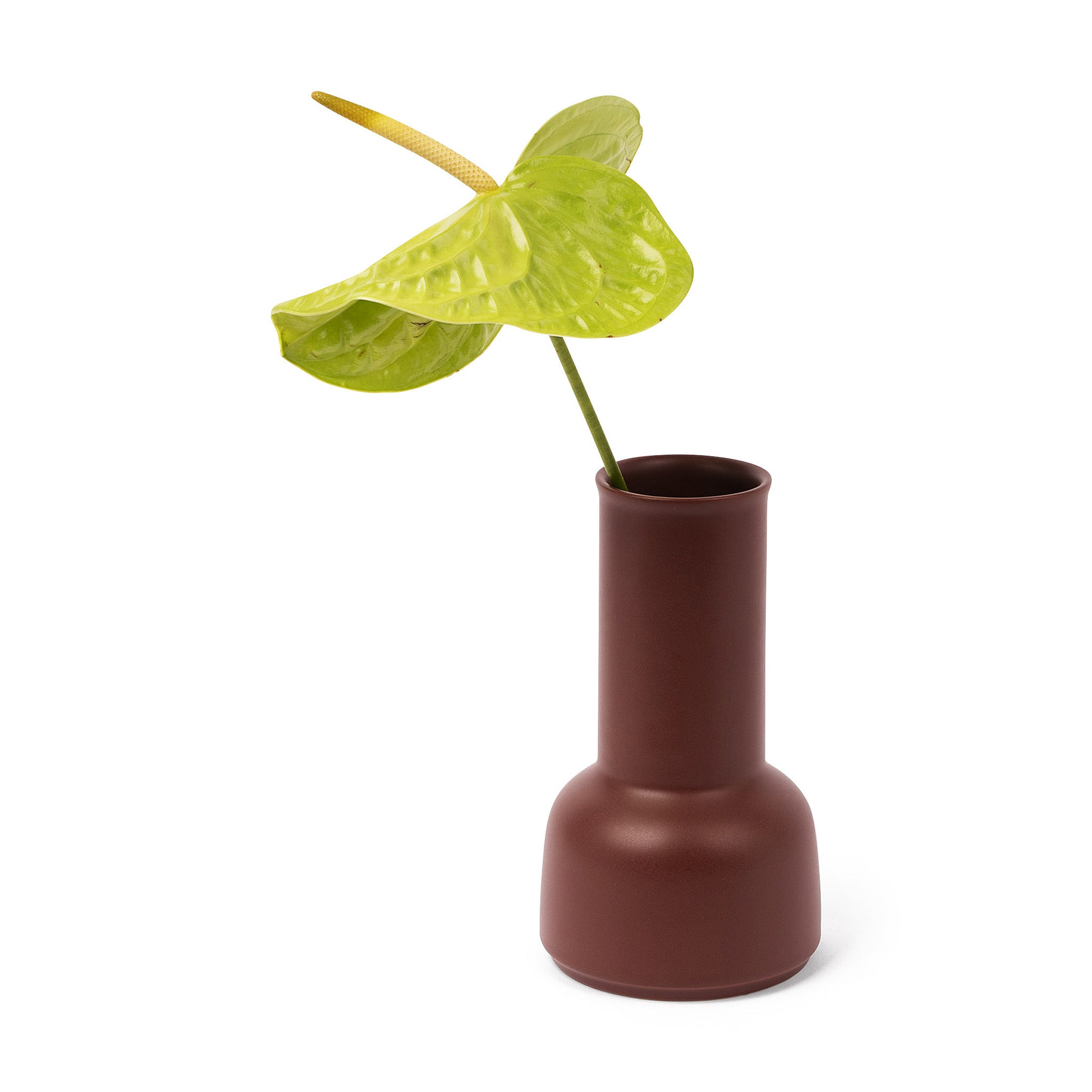 Omar/Raawii Carafe - Cinnamon - Image 6