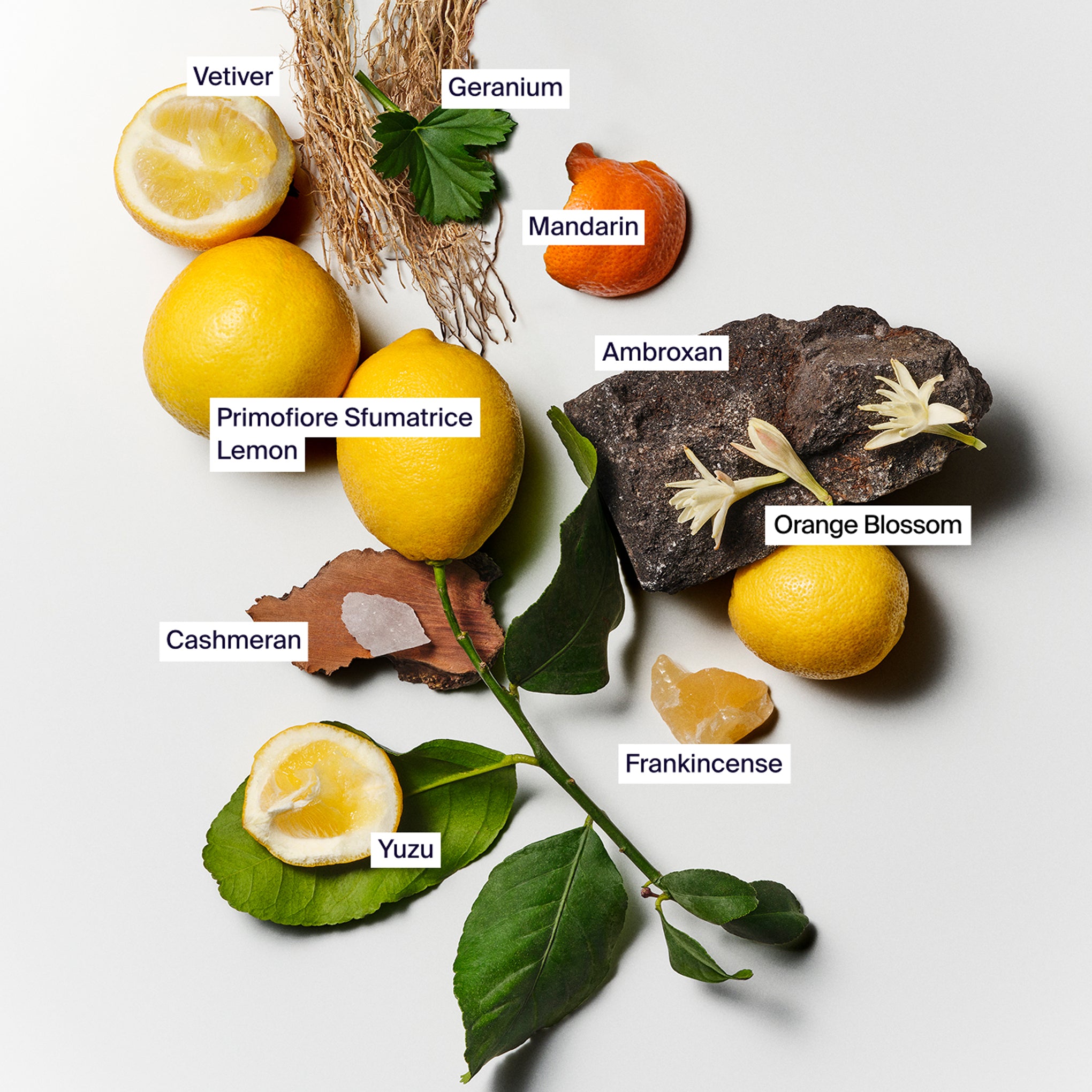 Horace Vetiver Primavera Fragrance - 1.69fl oz - Image 3