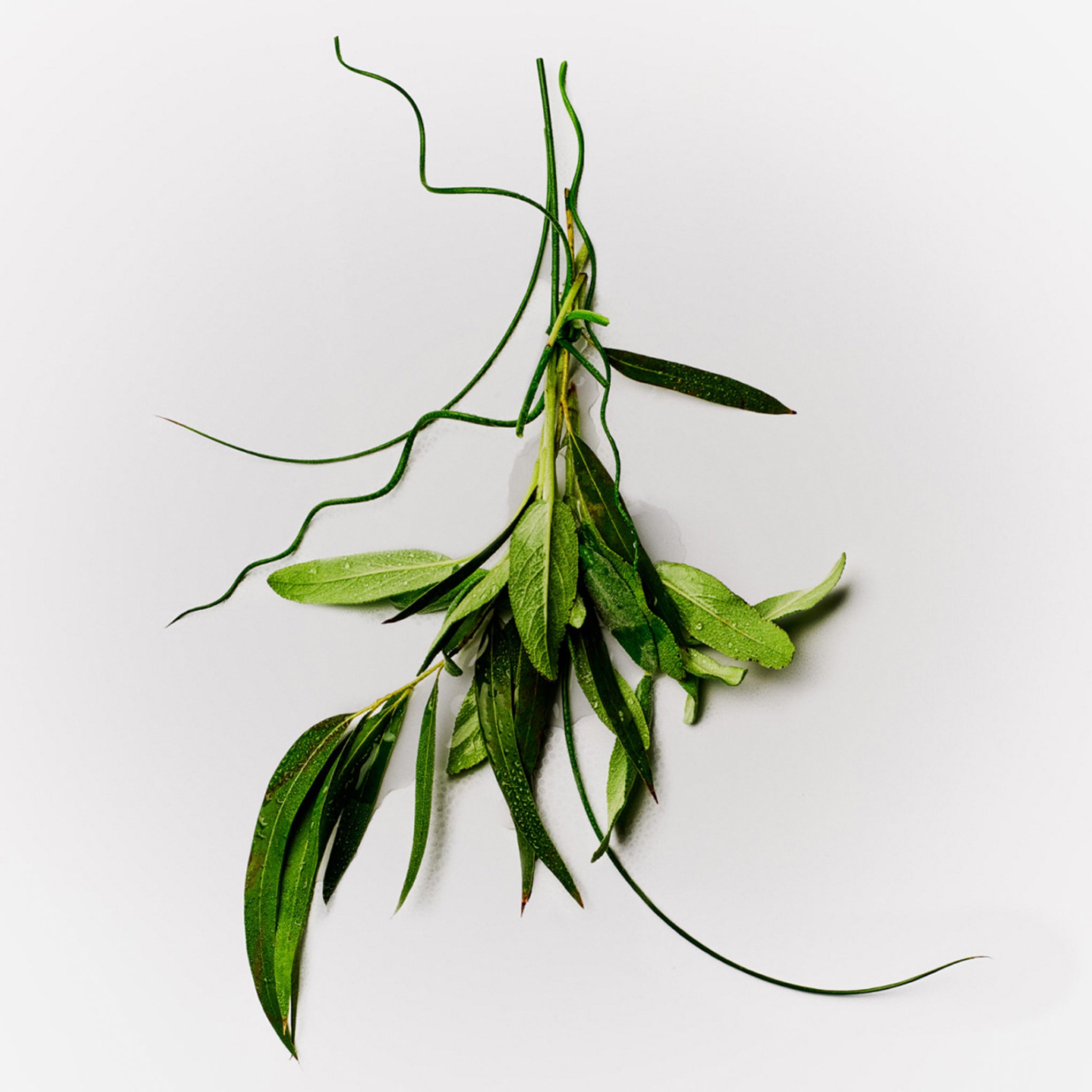 Horace 12H Protection Deodorant - Eucalyptus & Sage - Image 4