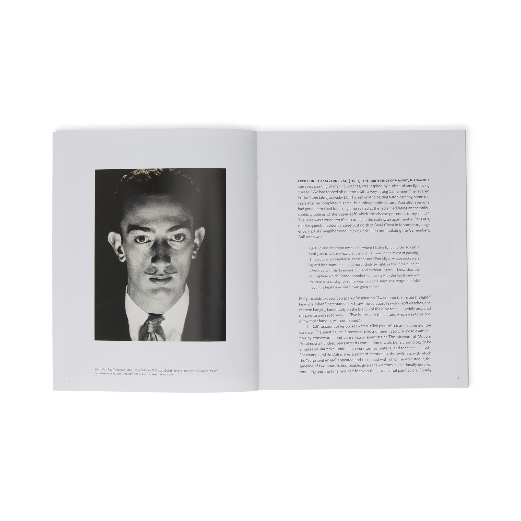 Salvador Dalí: The Persistence of Memory (MoMA One on One Series) - Paperback Book - Image 6