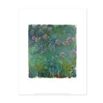 Monet: Agapanthus Print