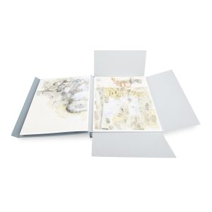 Robert Rauschenberg: Thirty­-Four Drawings for Dante's Inferno